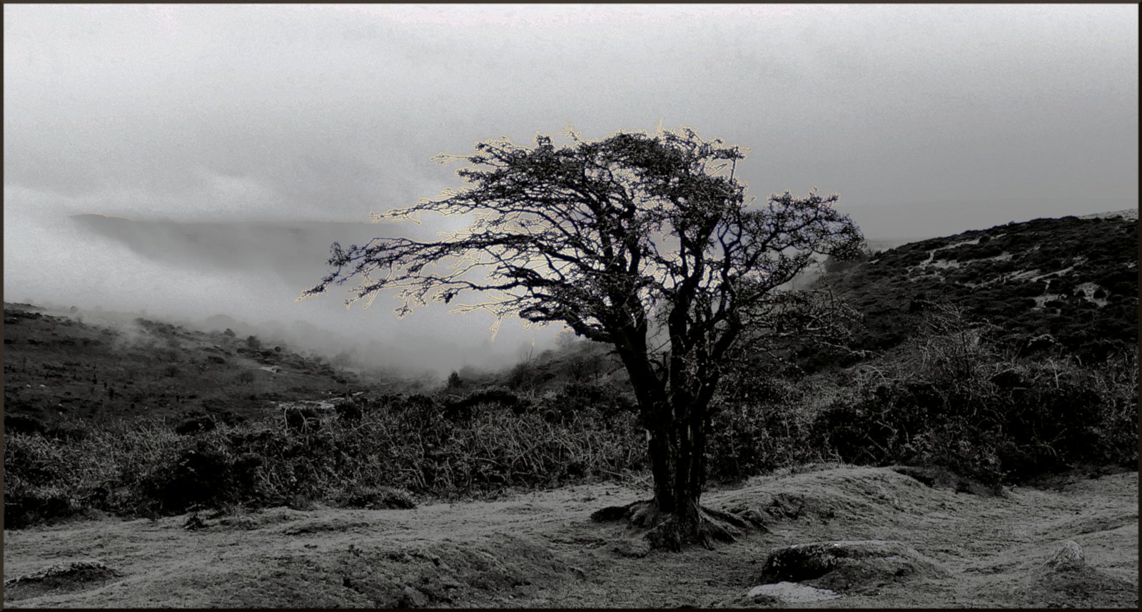 The-Mist-Approaching_Yvette-Mcgarry.Jpg