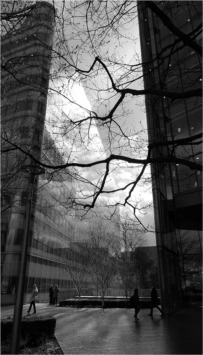 16_Late afternoon in the city_Chris Box.jpg