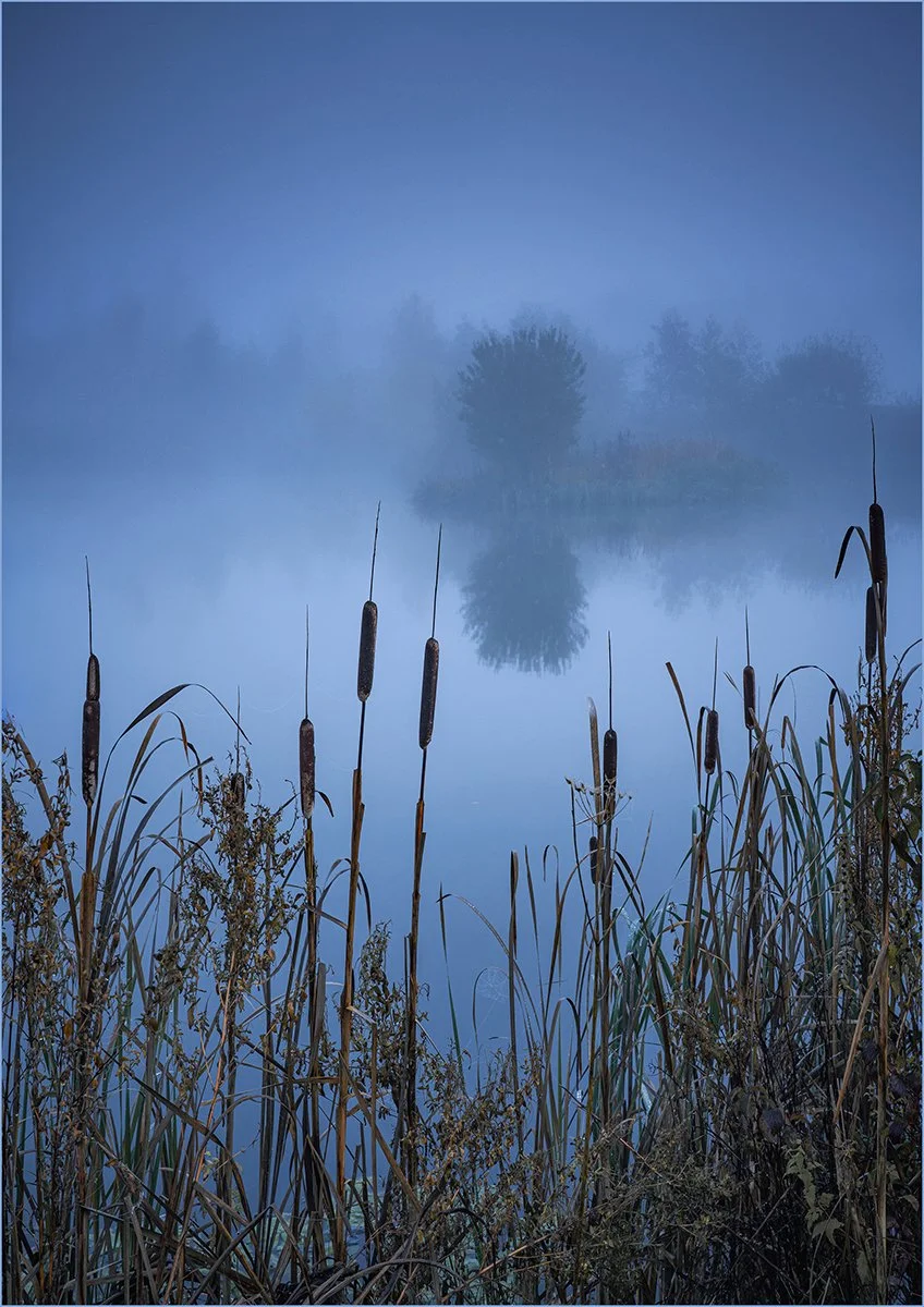 Keith Waldron_Blue Mist.jpg