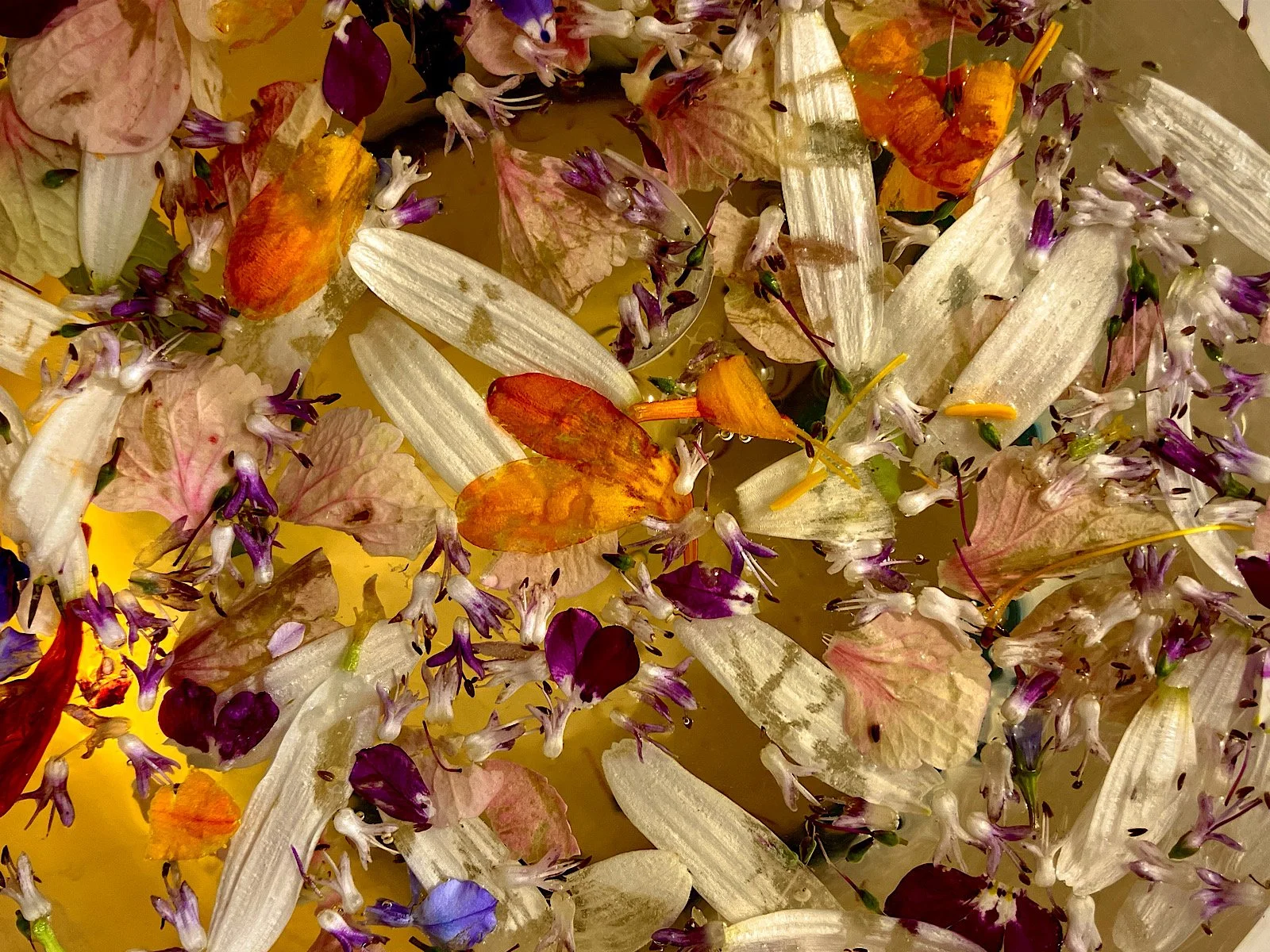 14_Floral Potpourri_Ralph Brand.jpg