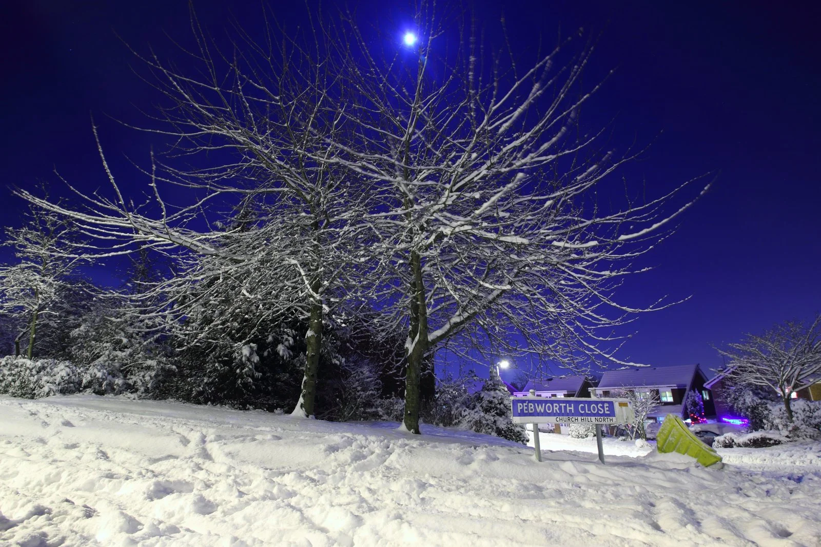 16_A Quiet Night in White_Peter Newman.jpg