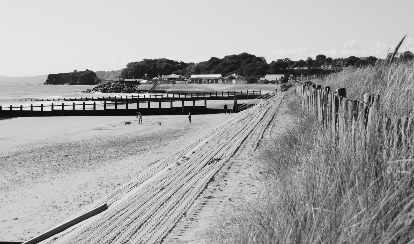 Bob Willis_Beach View.JPG