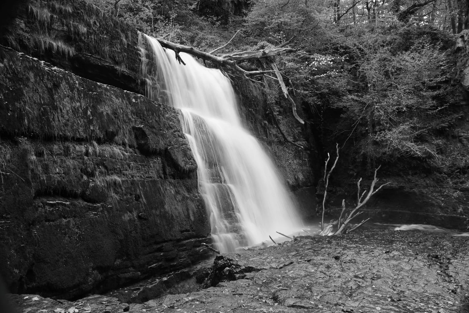 Bob Willis_Waterfall.JPG