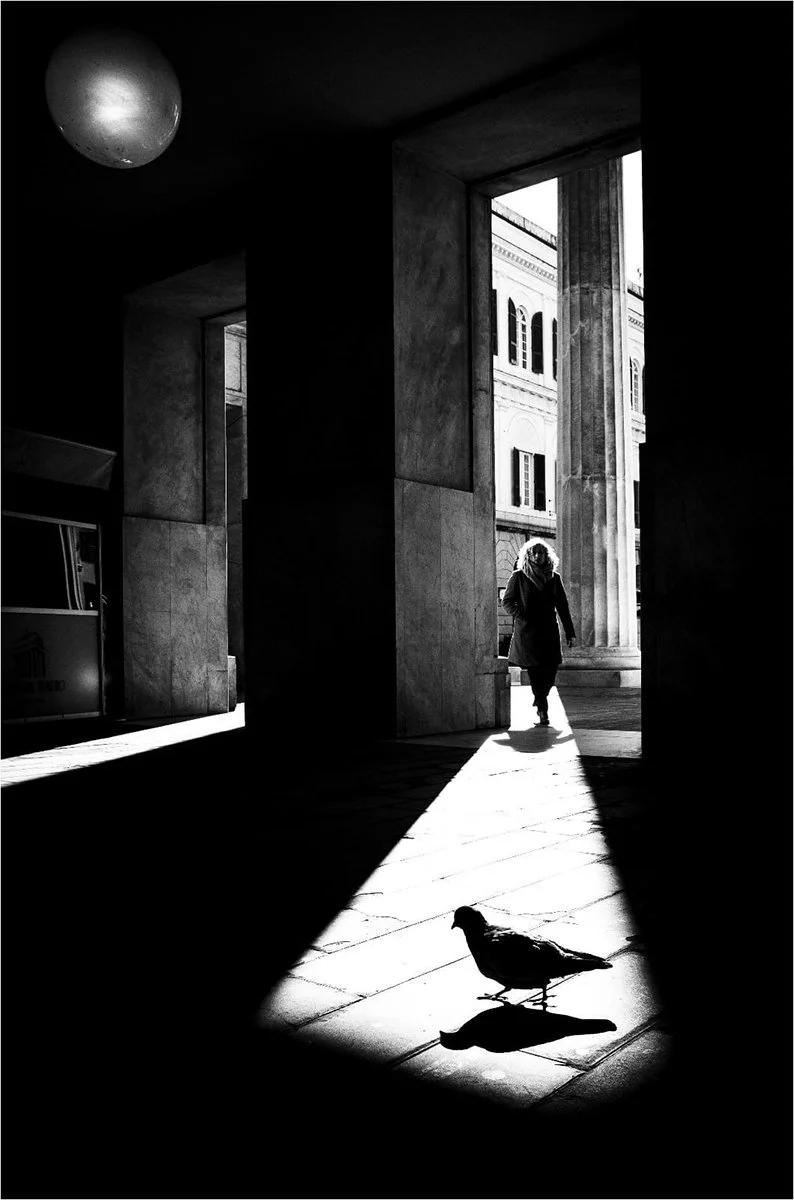 20_Out of the shadows_Graham Bastock WEBHEATH.jpg
