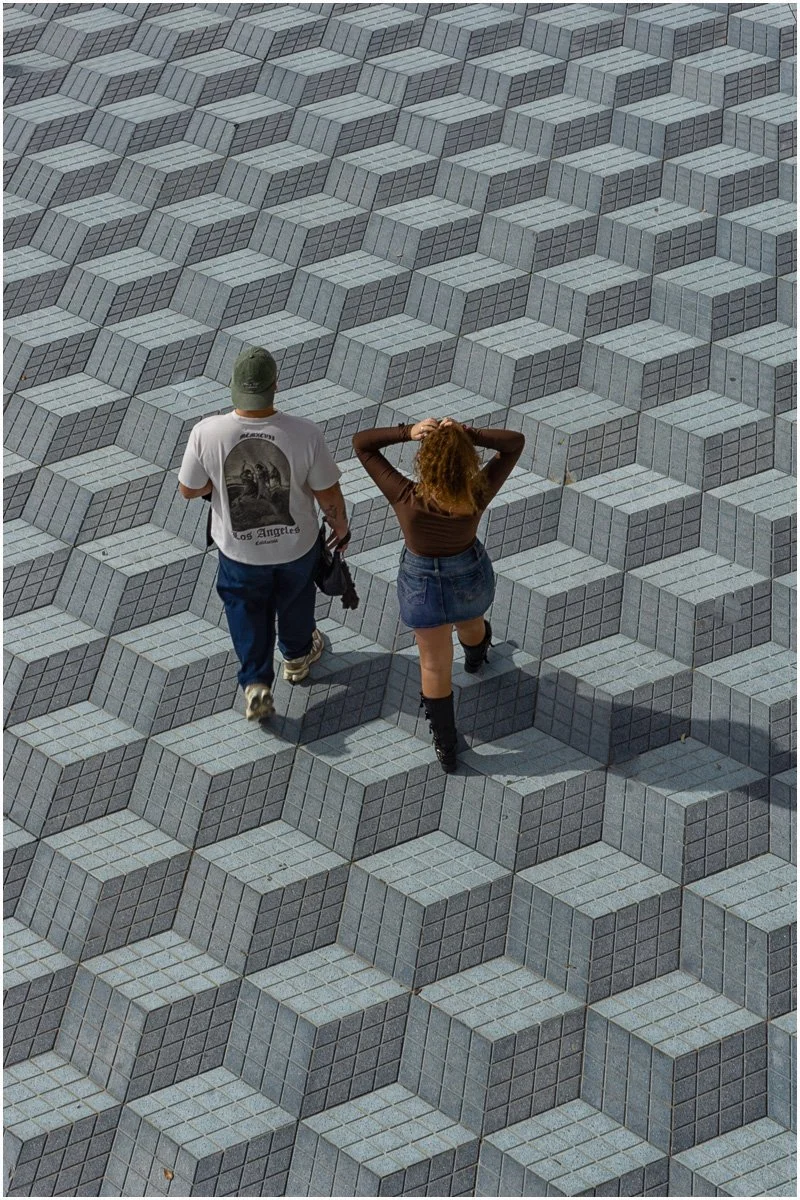 17_Stepping Out_Dave Rodgers.jpg