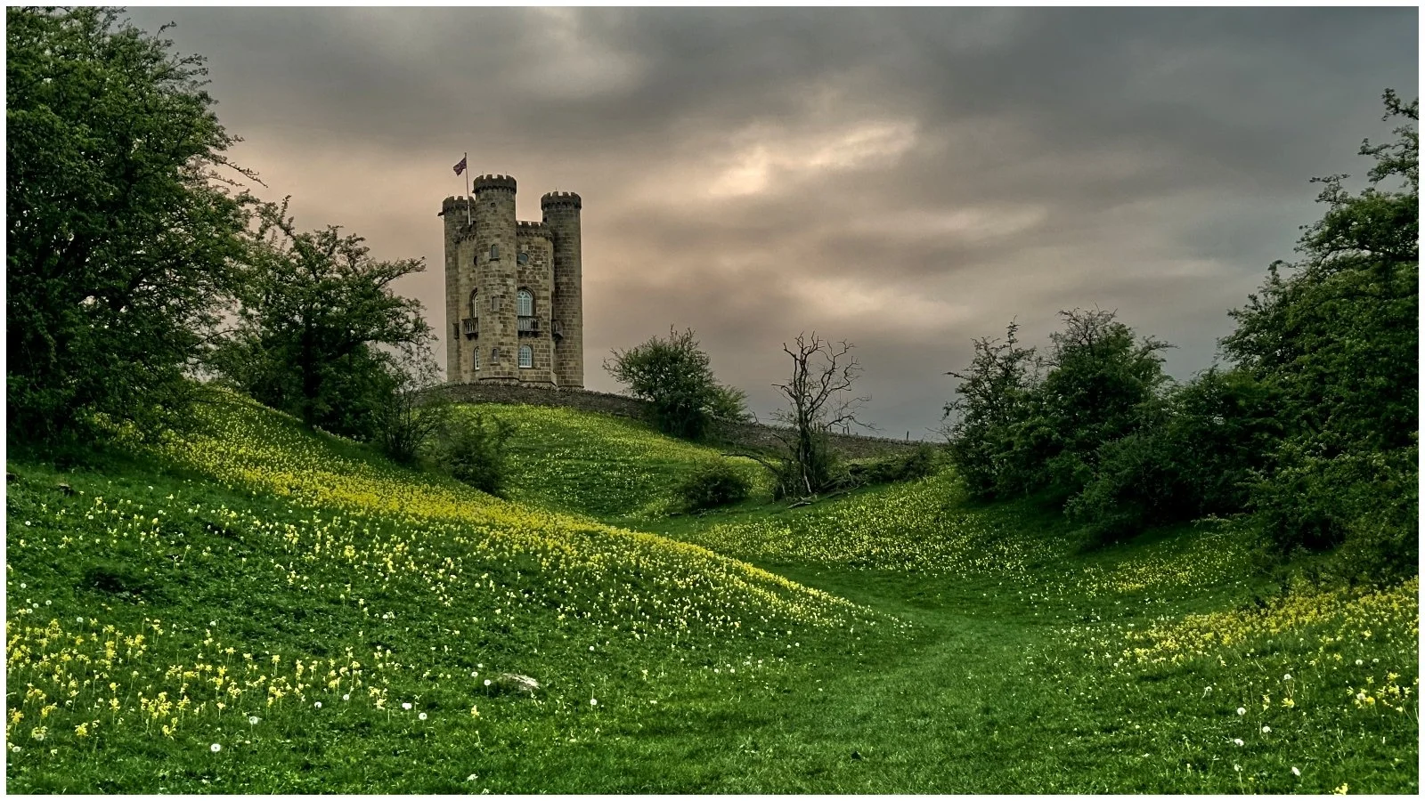 17_Cow Slip Tower_Mark Wood.jpg