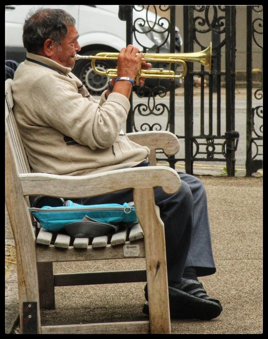 15_1. The urban trumpeter._Bronwen Seaton.jpg