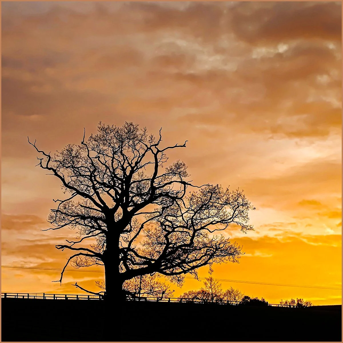 Pete Barcham_Solitary Silhouette.jpg