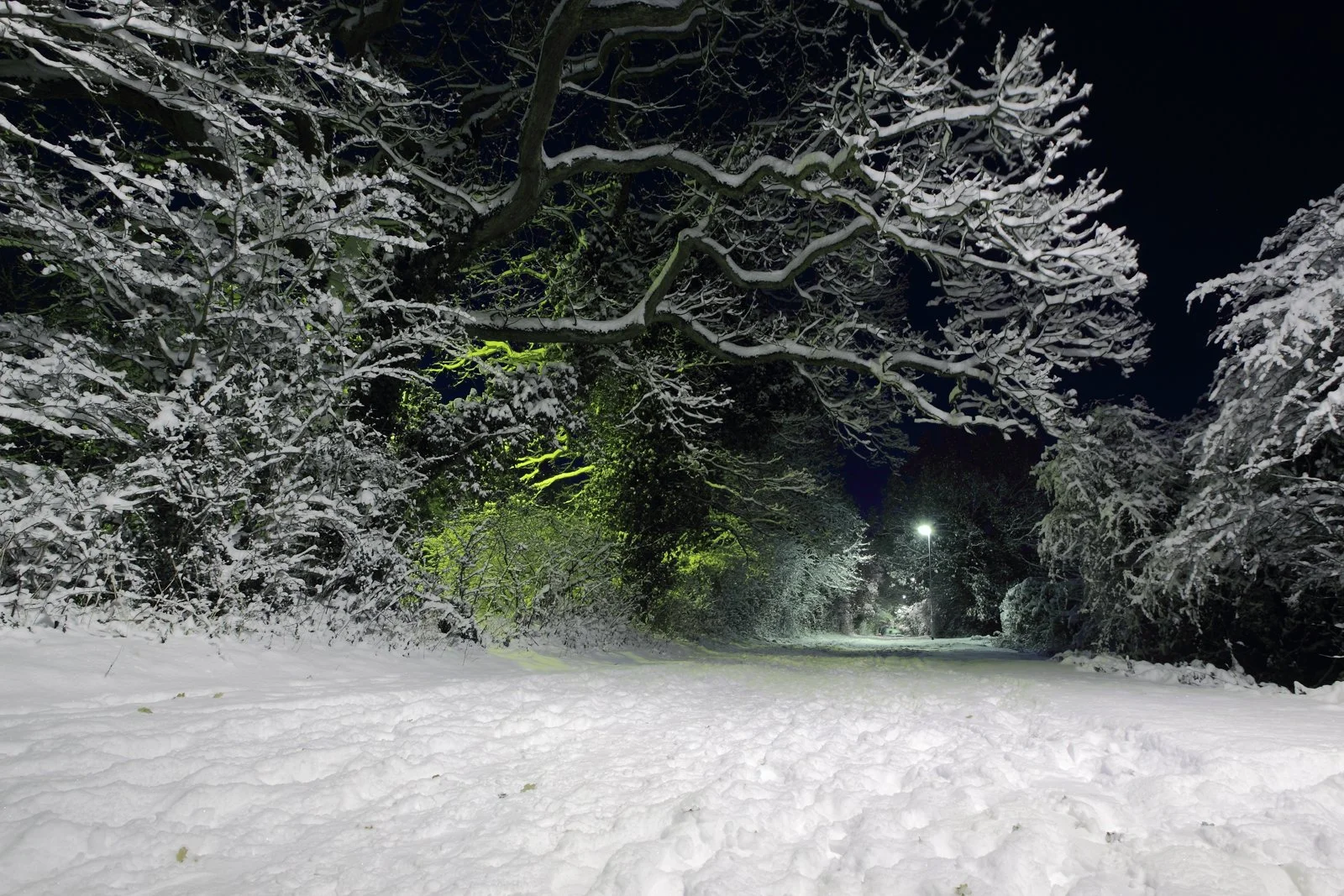 15_Frozen Passage_Peter Newman.jpg