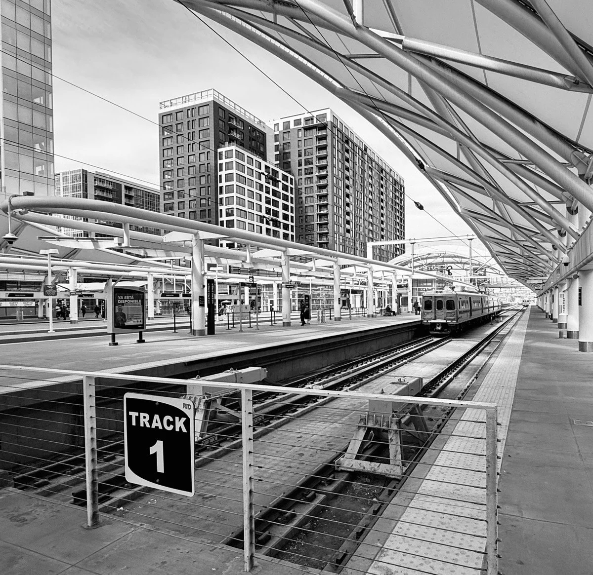 16_End of the line_Ruth Miknenas.jpeg
