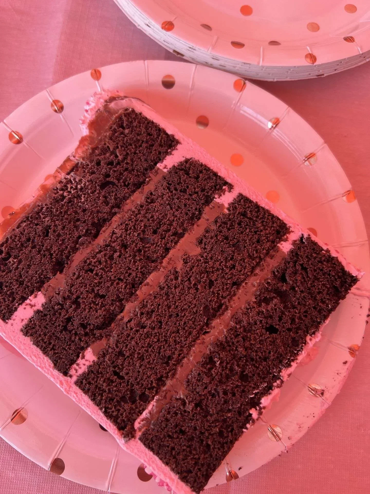 A slice of chocolate cake with multiple layers on a pink polka dot paper plate.