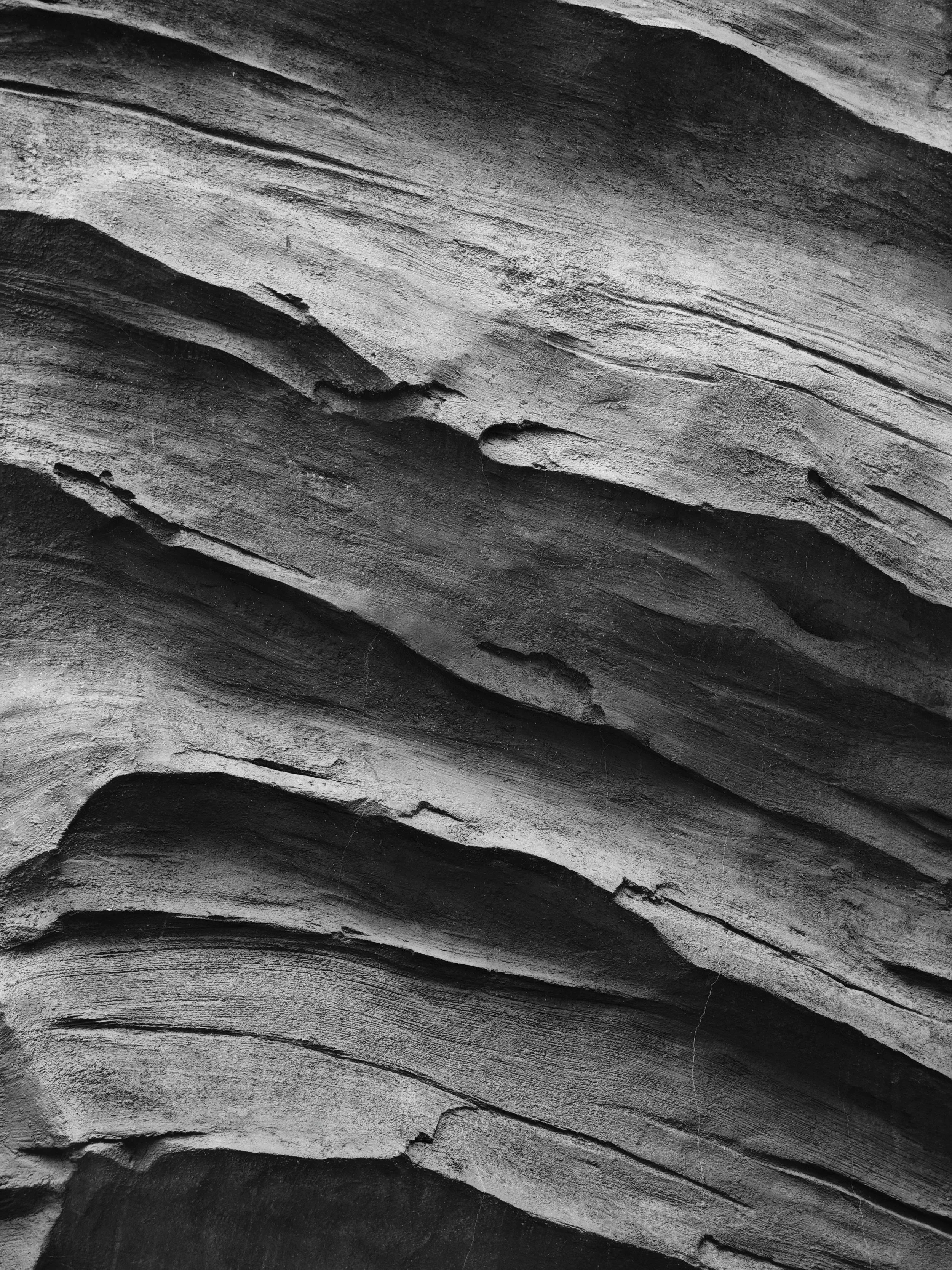 cai-fang-BaOZmPM3IMg-unsplash.jpg