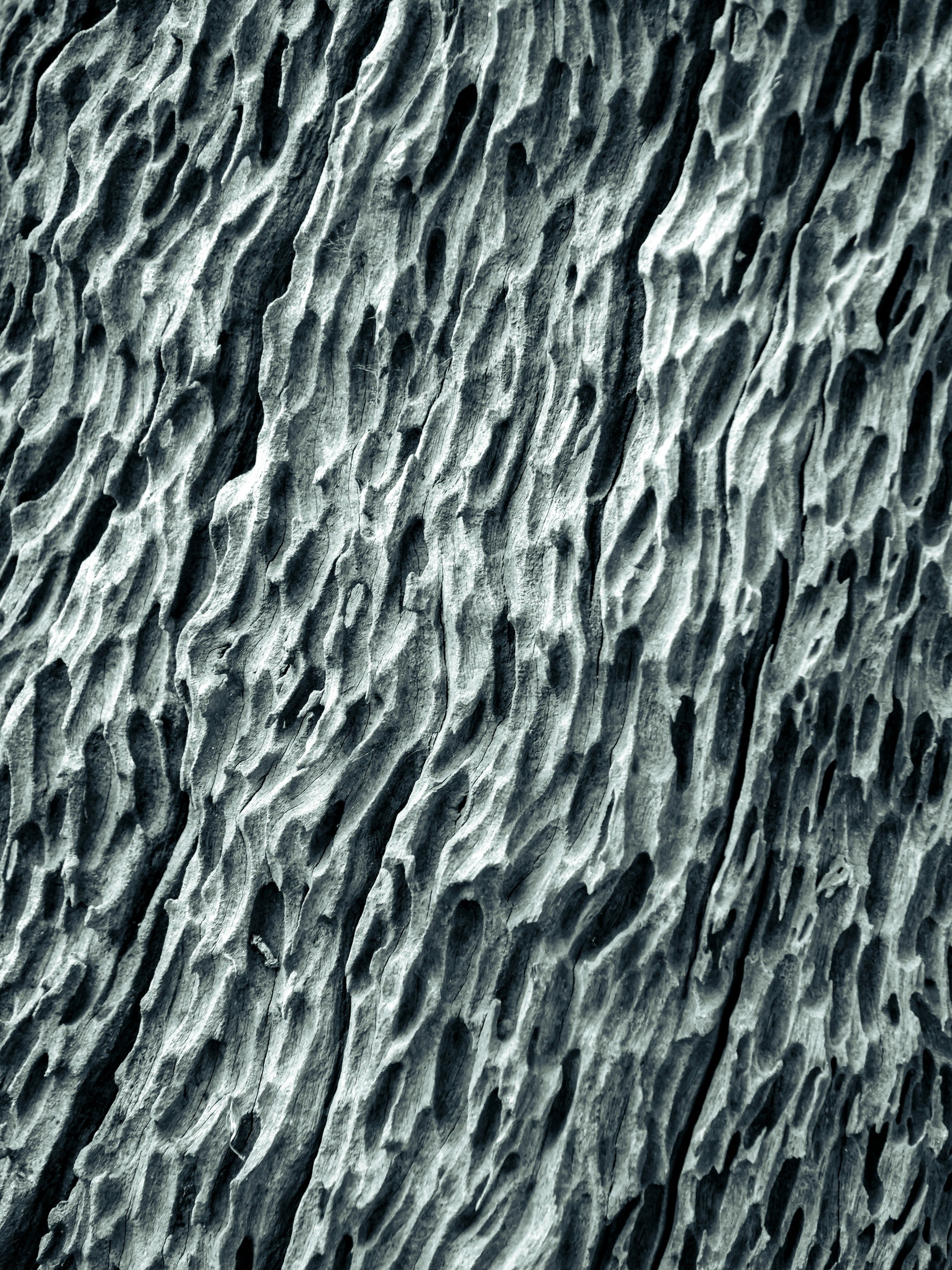 anatoly-maltsev-5gQMiUk7RiU-unsplash.jpg