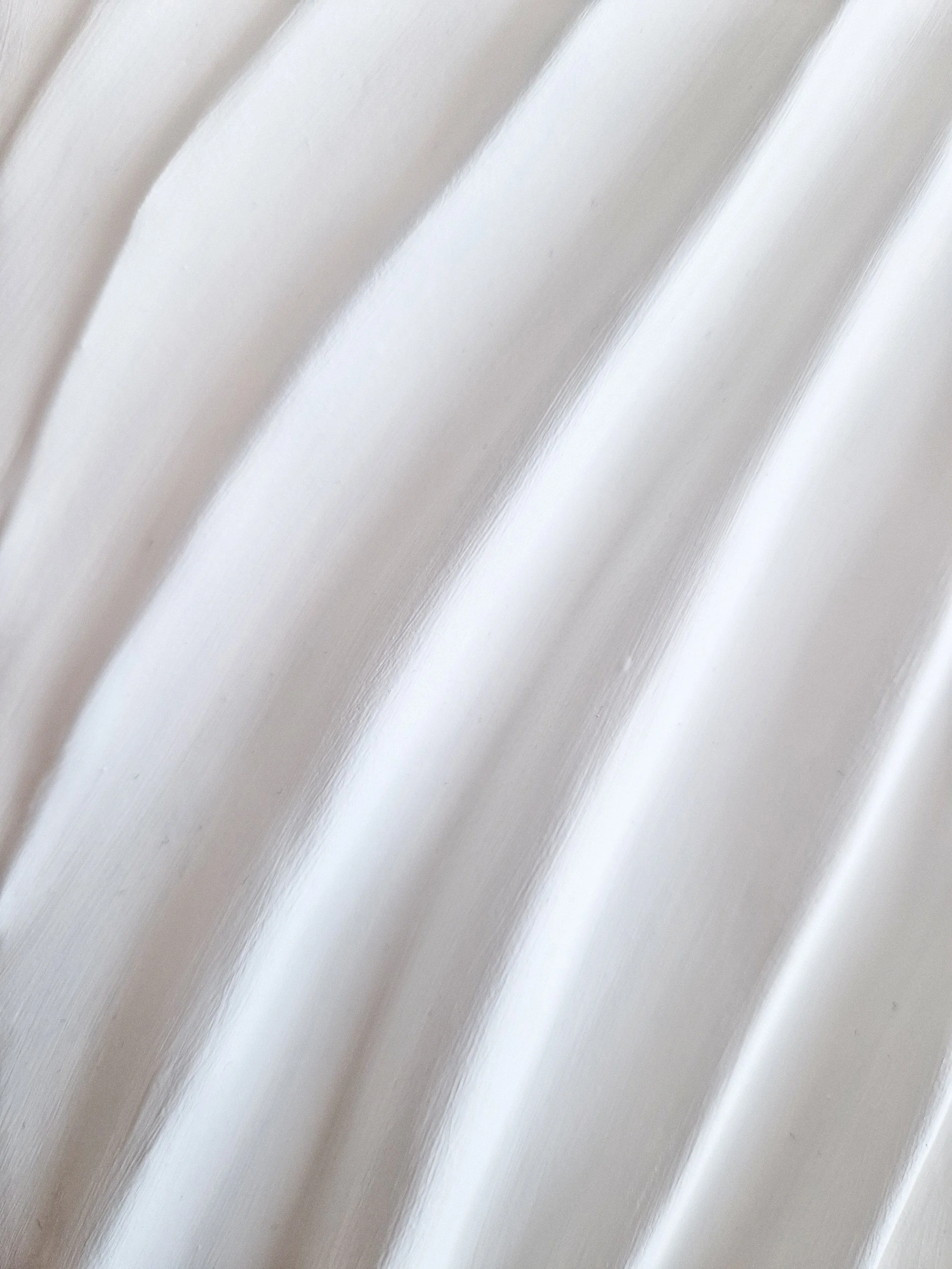 20260226_130629.jpg