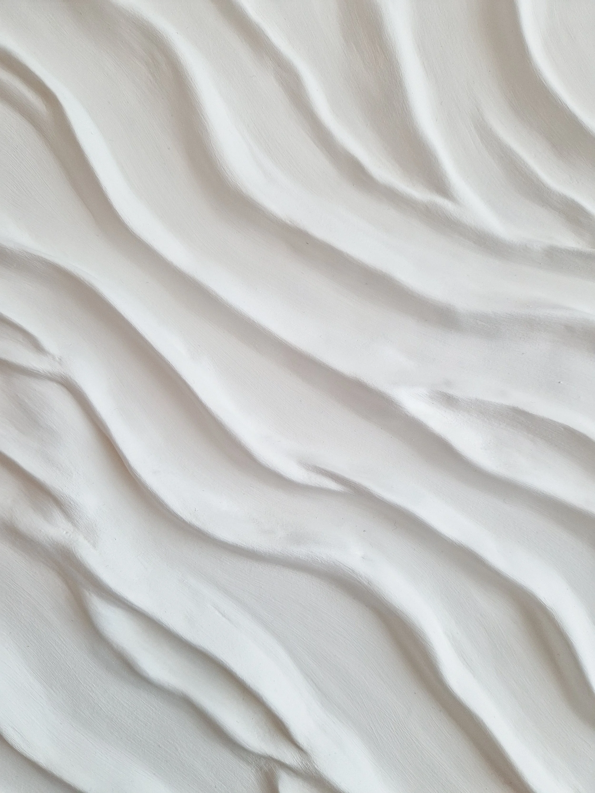 20260226_124207.jpg