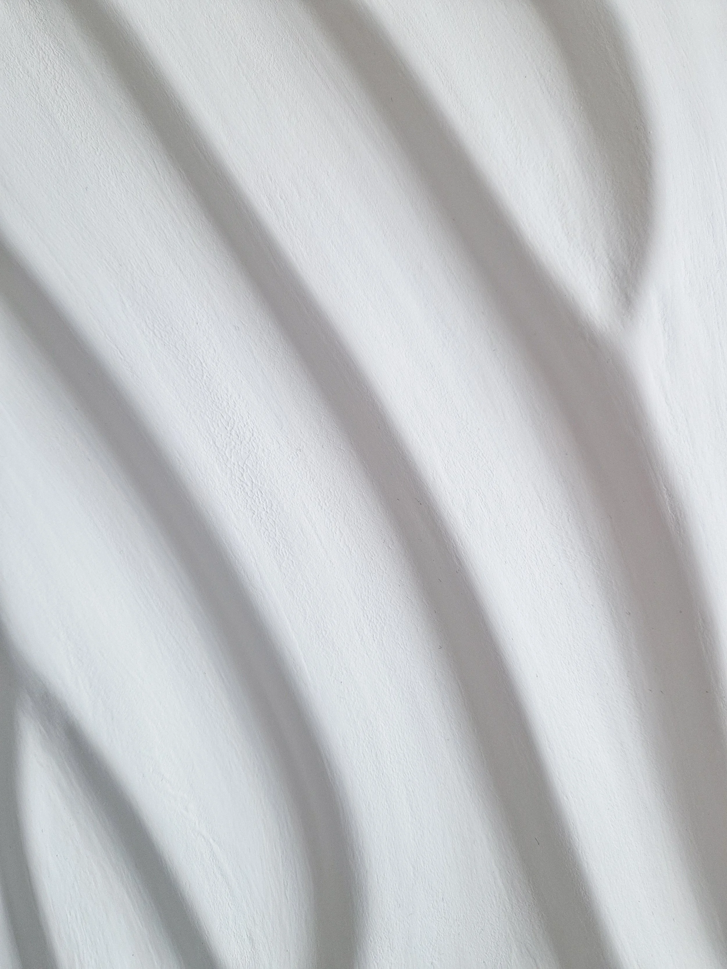 20260628_104020.jpg
