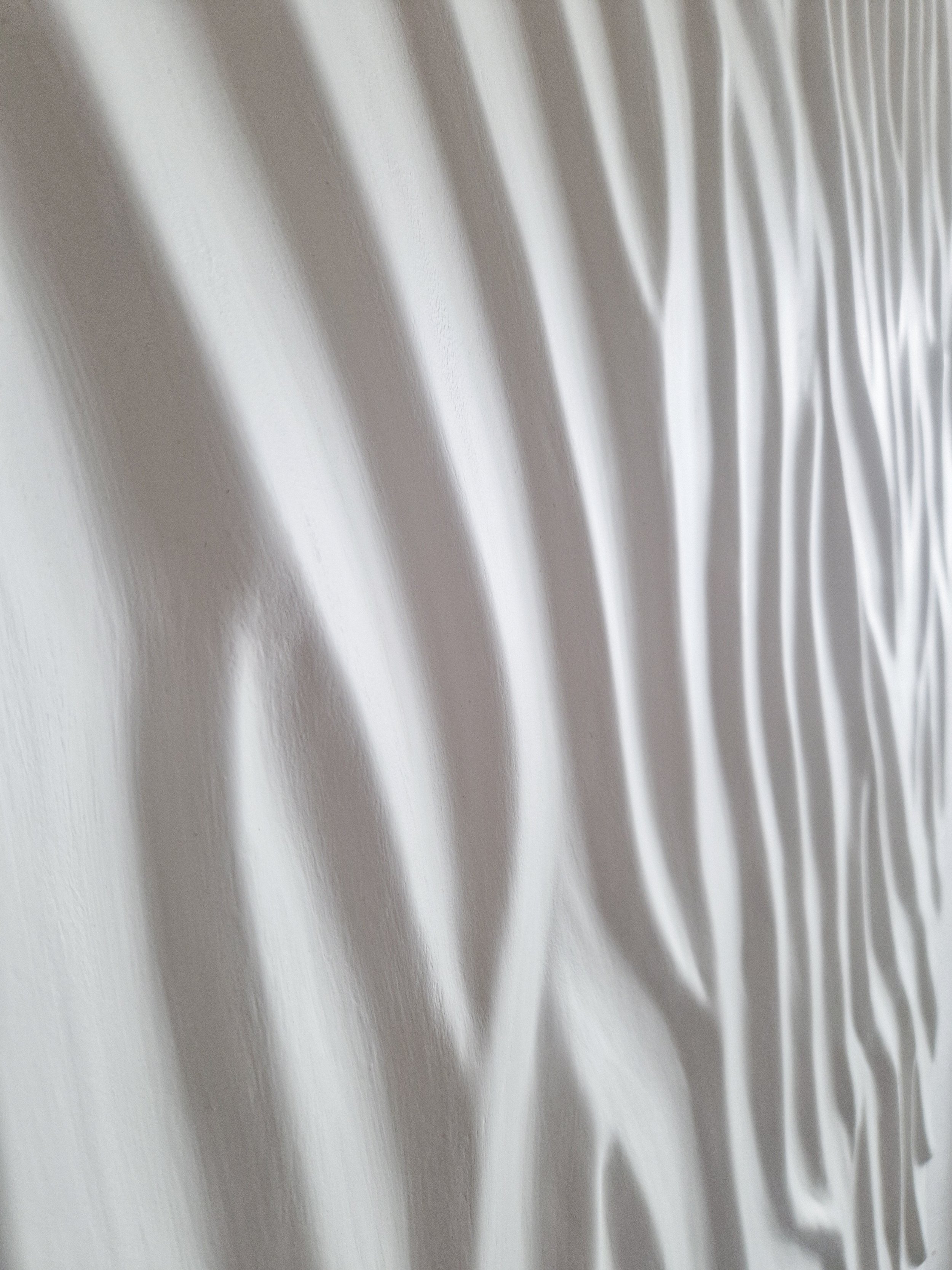 20260628_103956.jpg