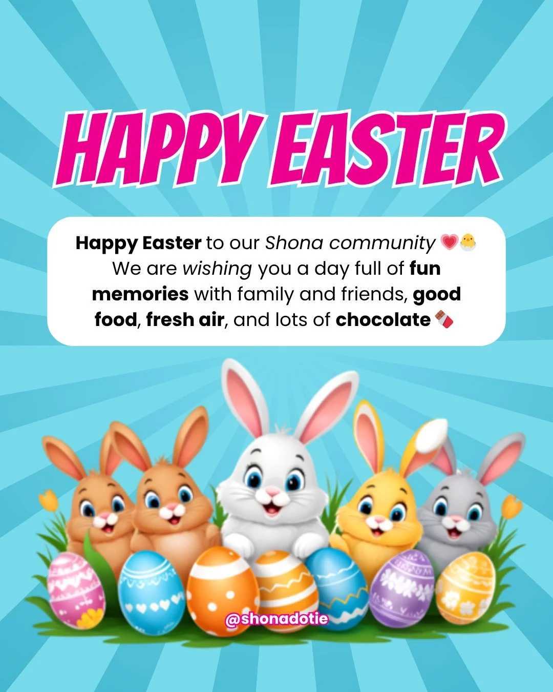 Happy Easter from all of us at The Shona Project🐣💖⁠
⁠
Wishing our amazing community a day filled with love, laughter, and plenty of chocolate🍫