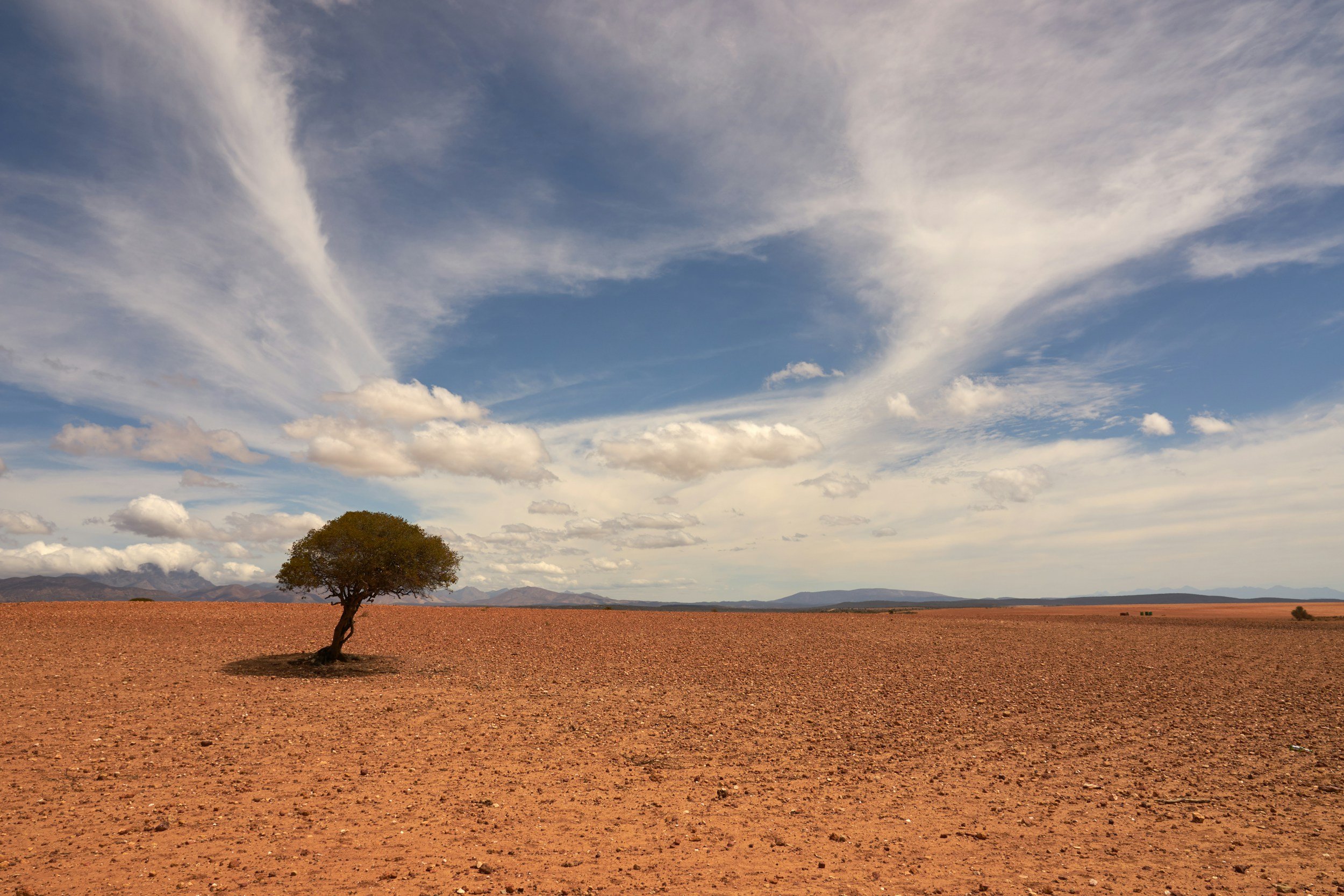 A lone tree in a barren desert landscape under a partly cloudy sky.