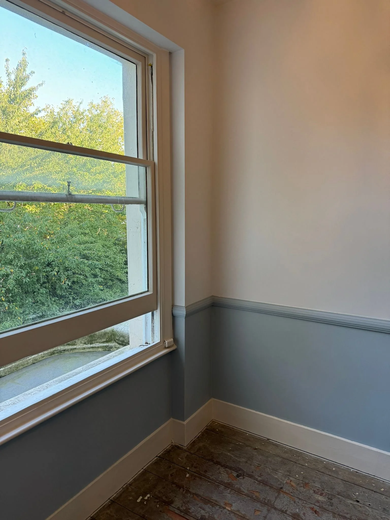 PHOTO-2024-10-11-14-55-40 2.jpg