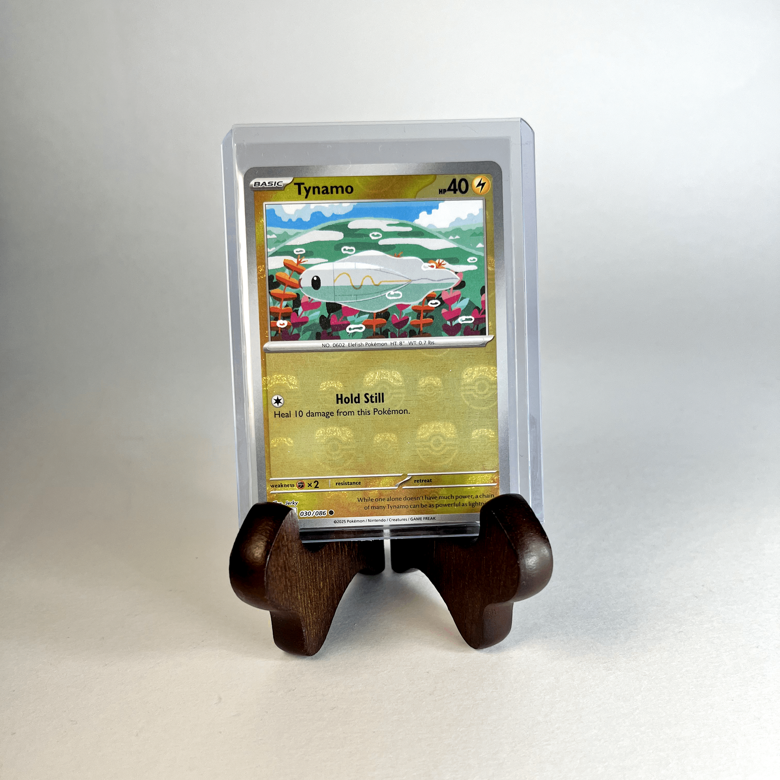 Tynamo Masterball Holo