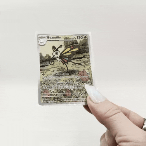 beautiflygif.gif