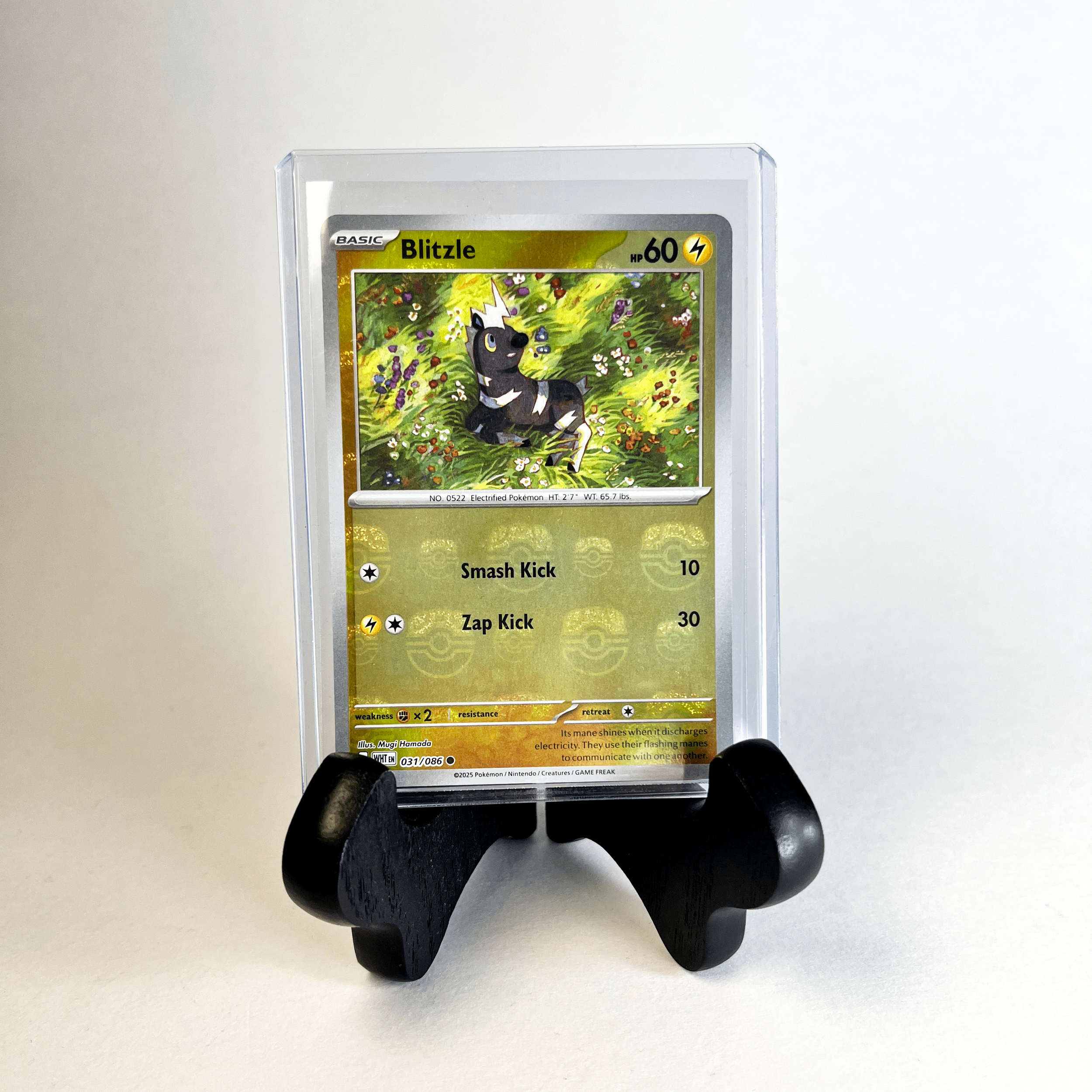 Blitzle Masterball Holo