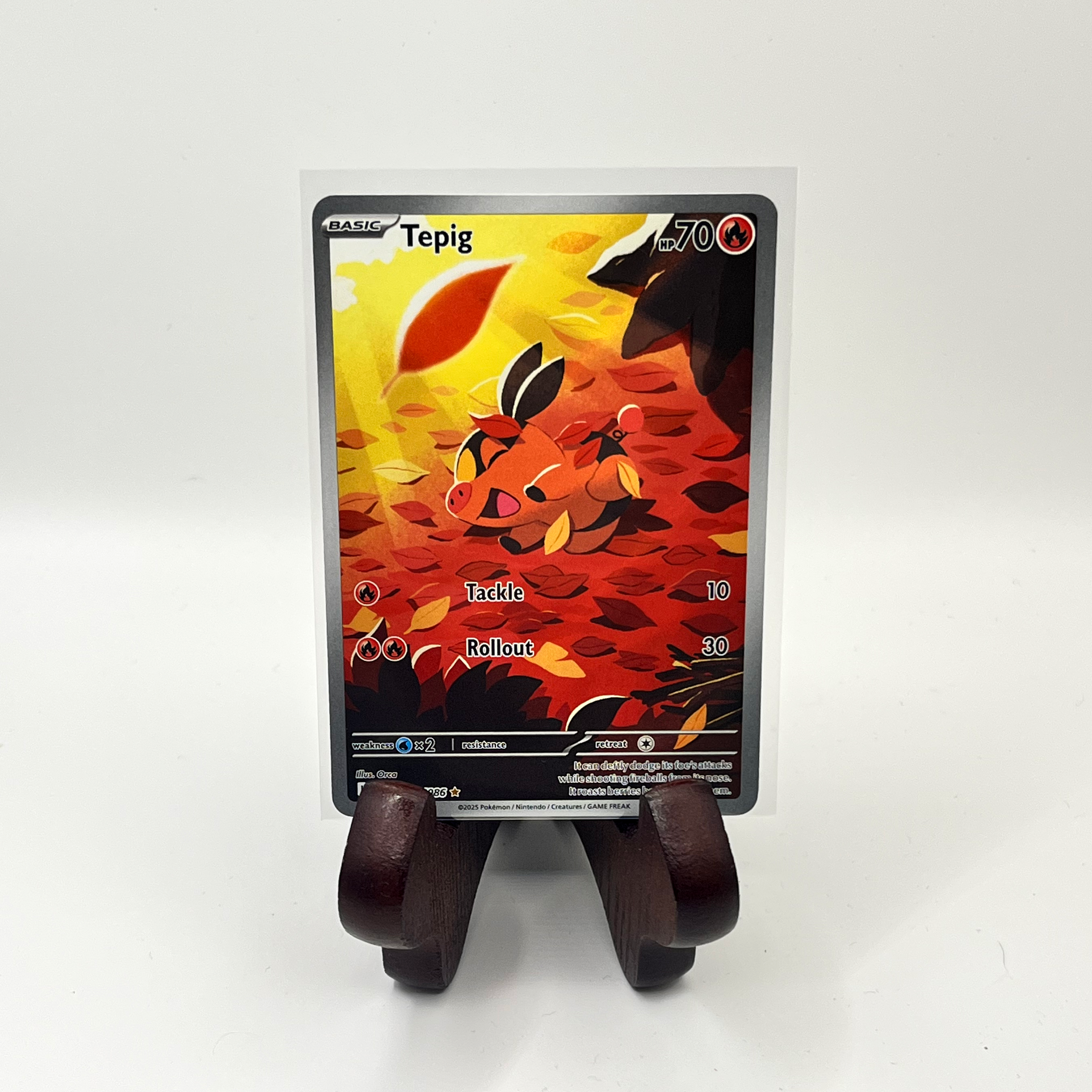 Tepig IR