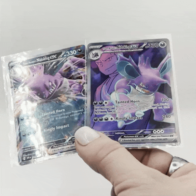 nidokingduo.gif