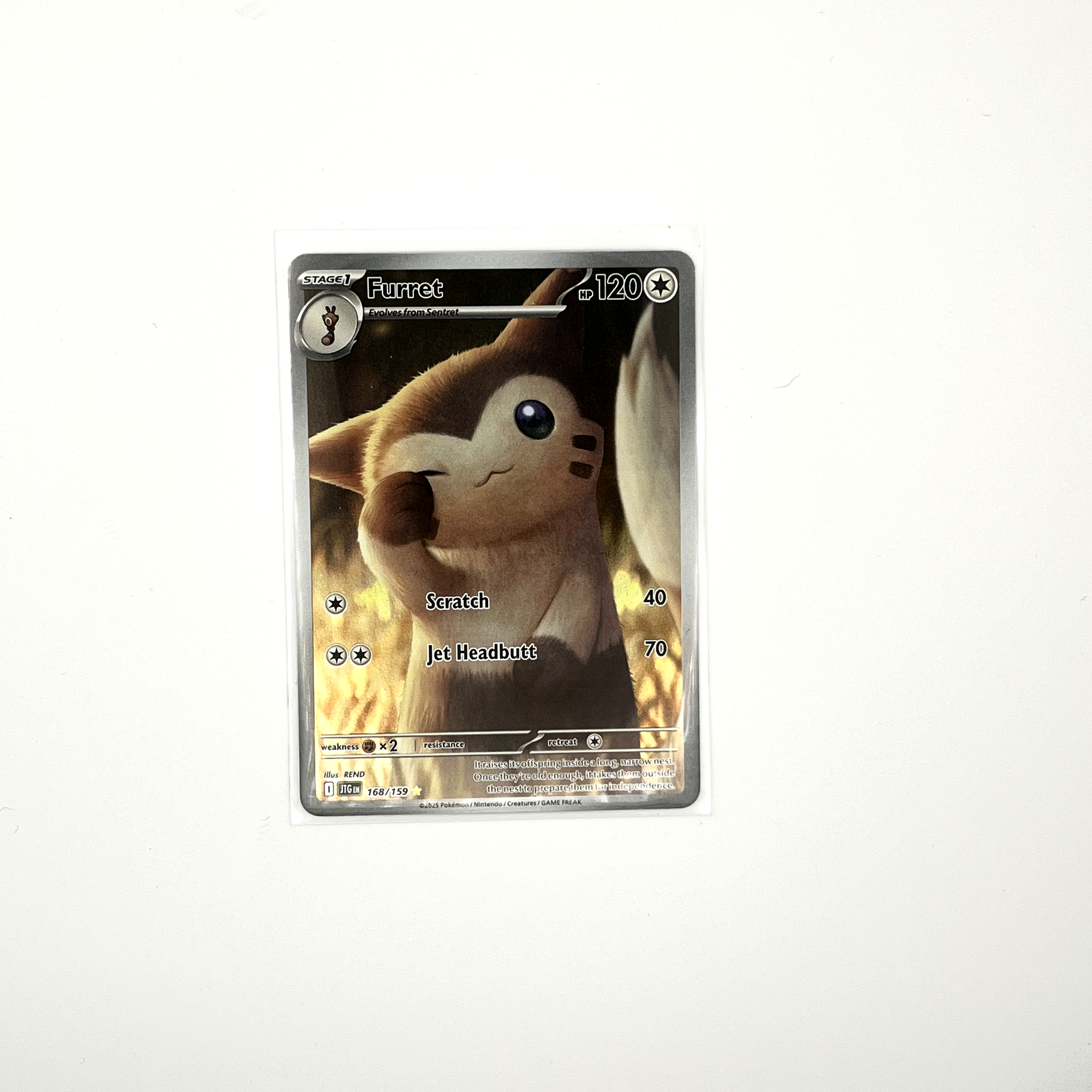 furretirp1.png