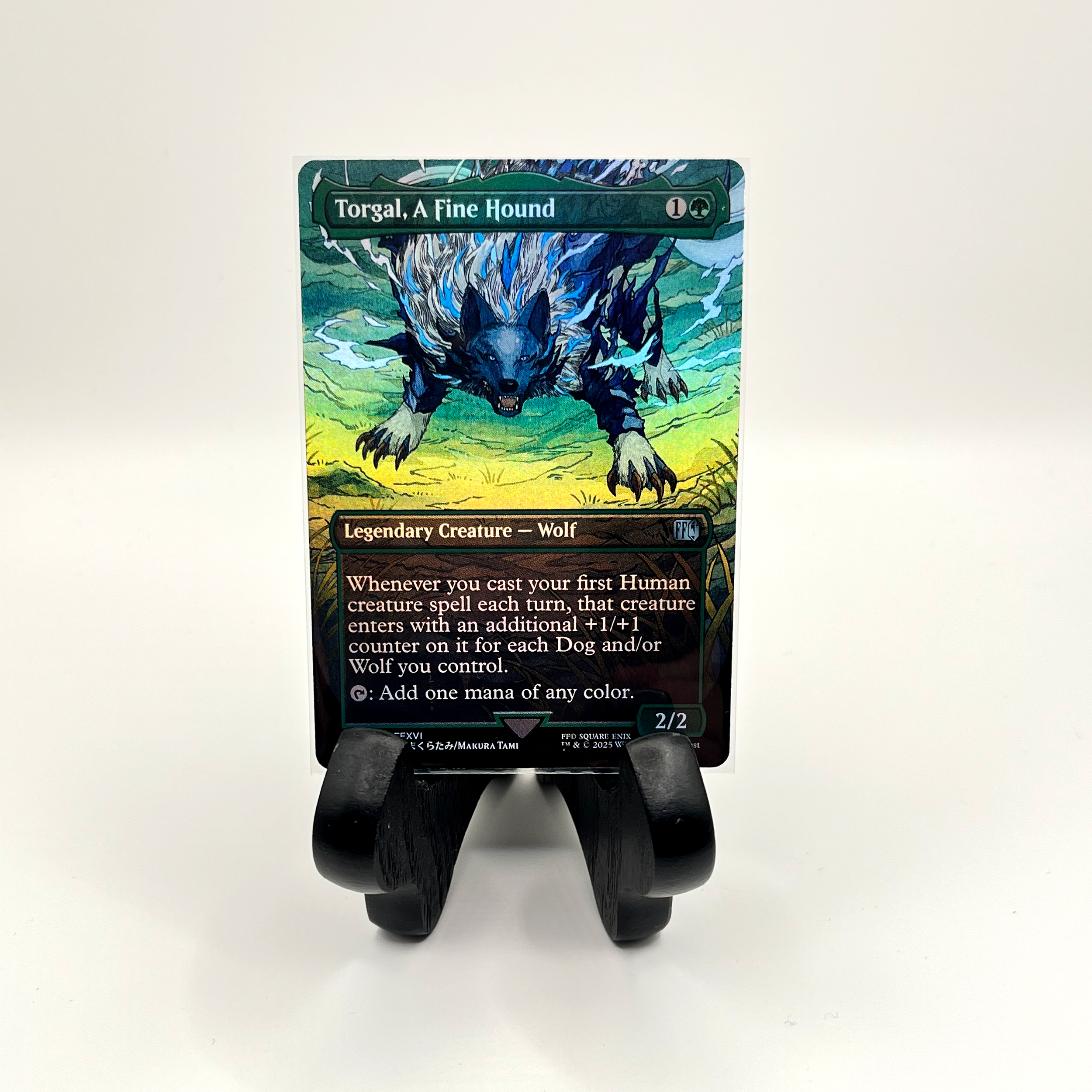 Torgal, A Fine Hound