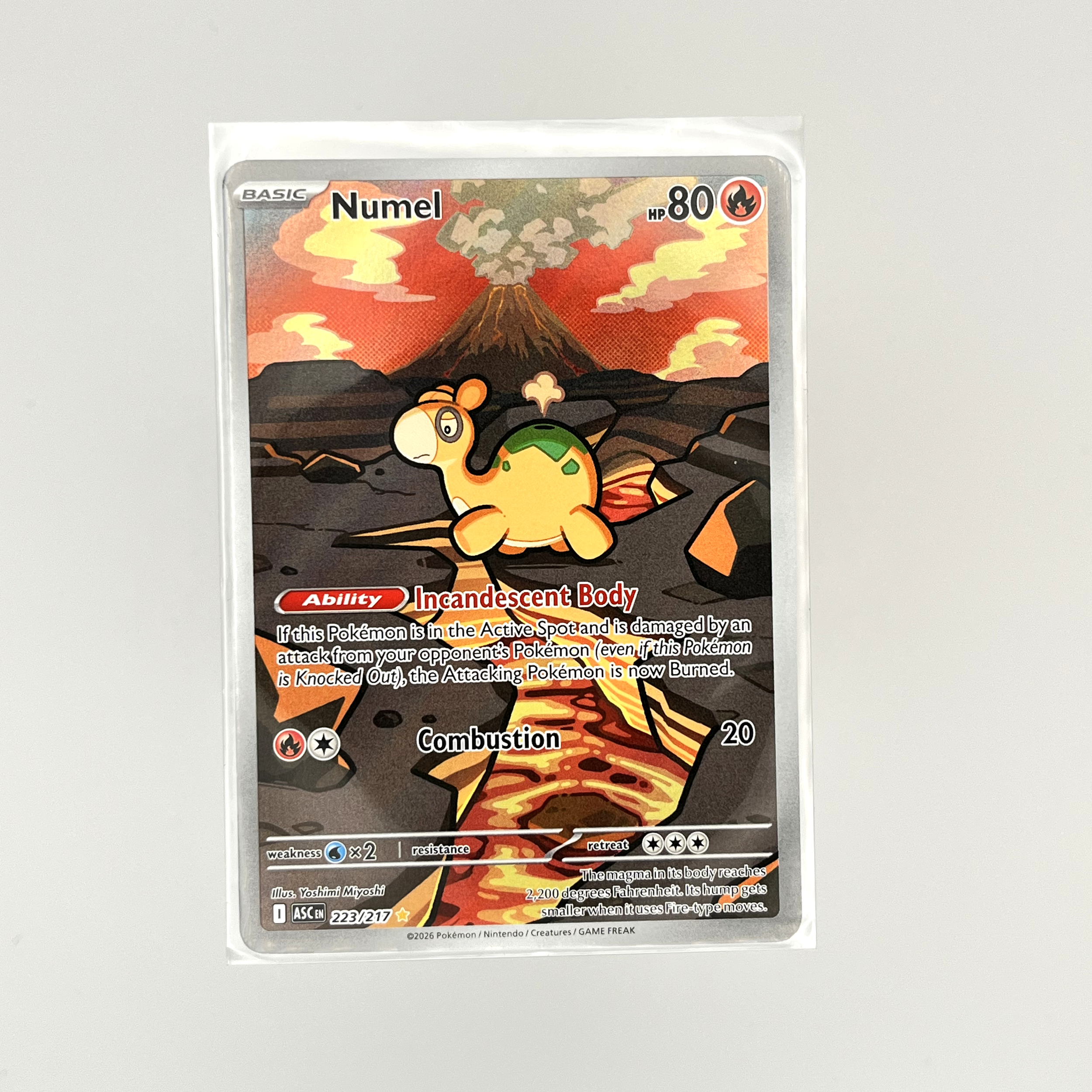 numelIR.png