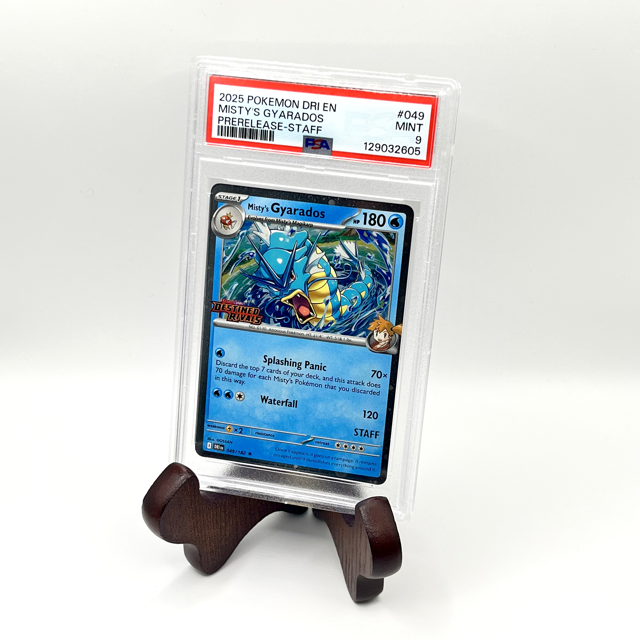 2025 Misty's Gyarados Pre-Release Stamped PSA 9