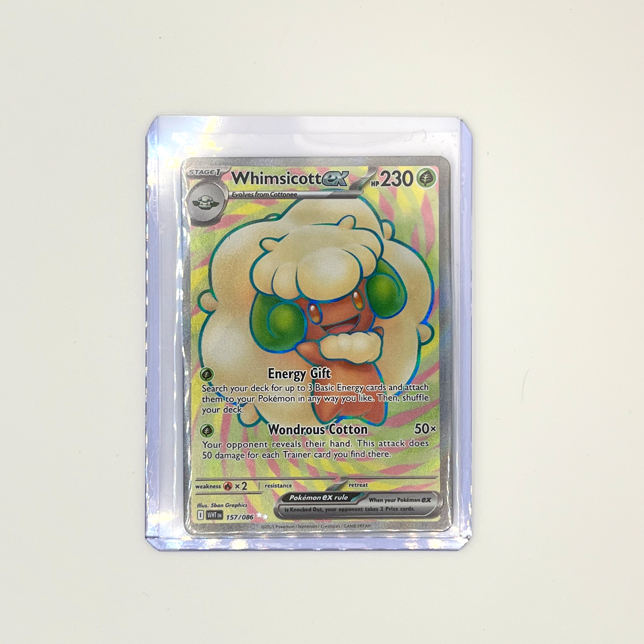 whimsicottex-2.png