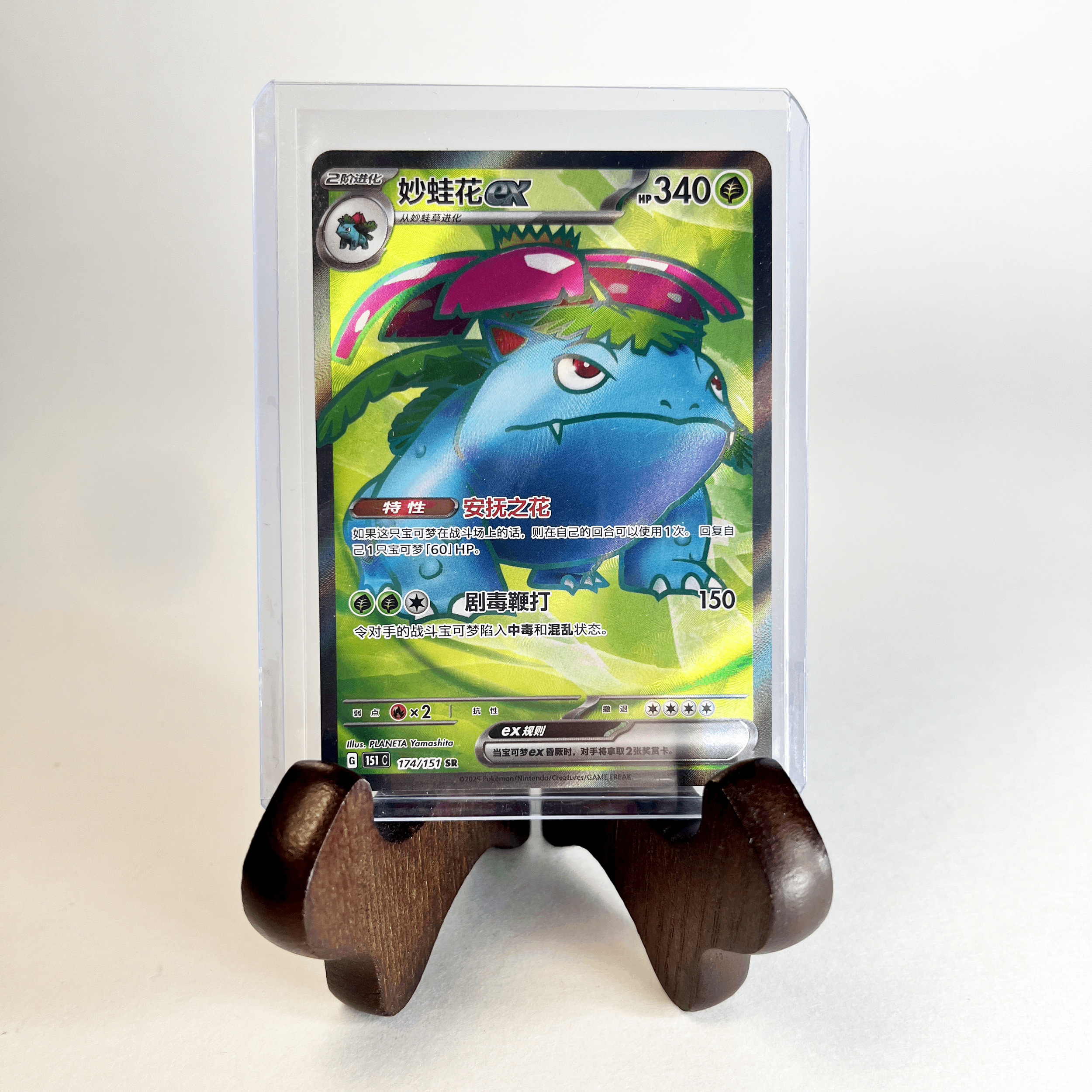 Chinese Venusaur EX SR