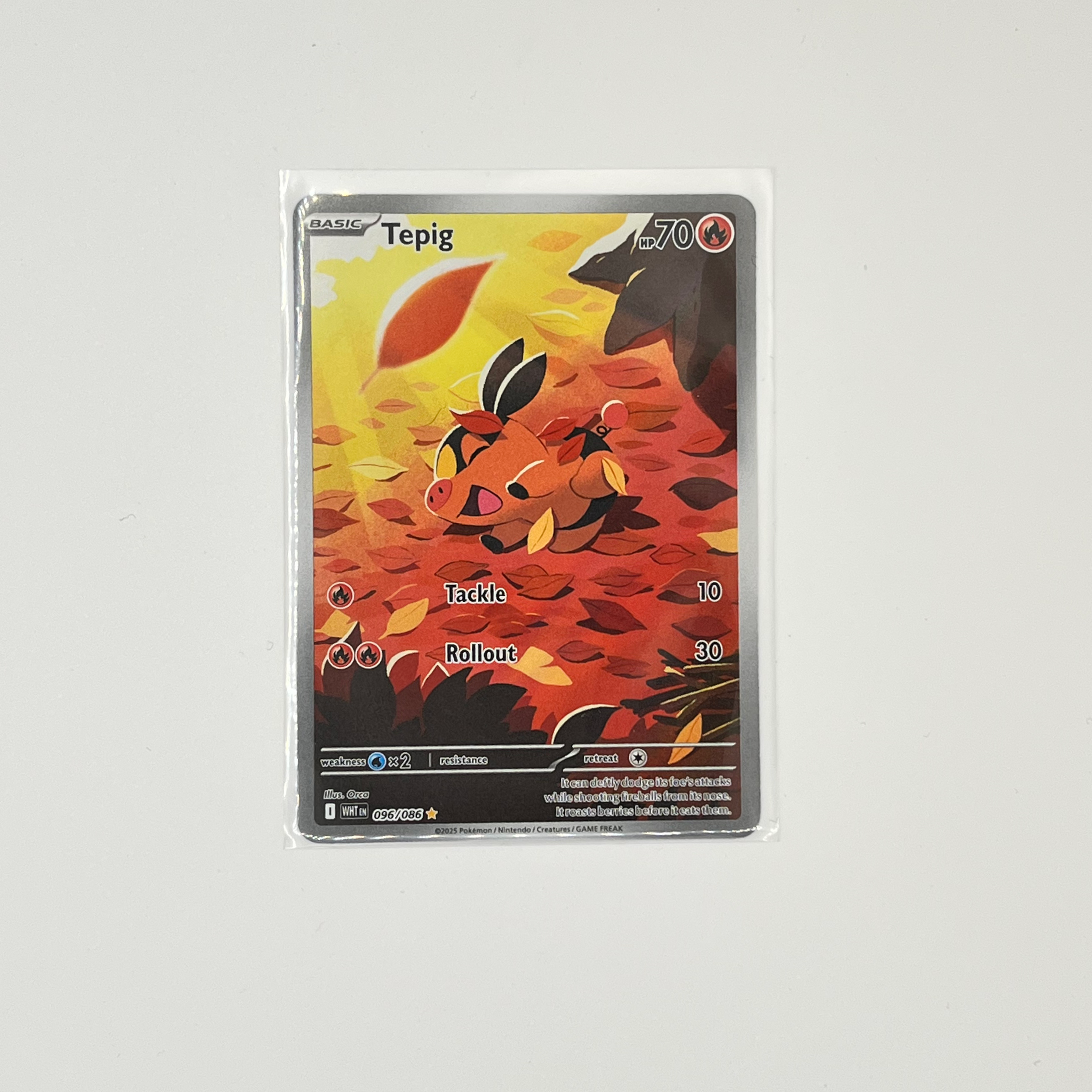 tepigirWHT-2.png