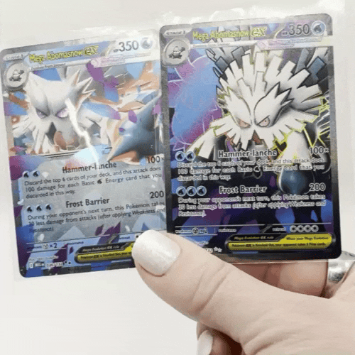 megaabomasnowduo.gif