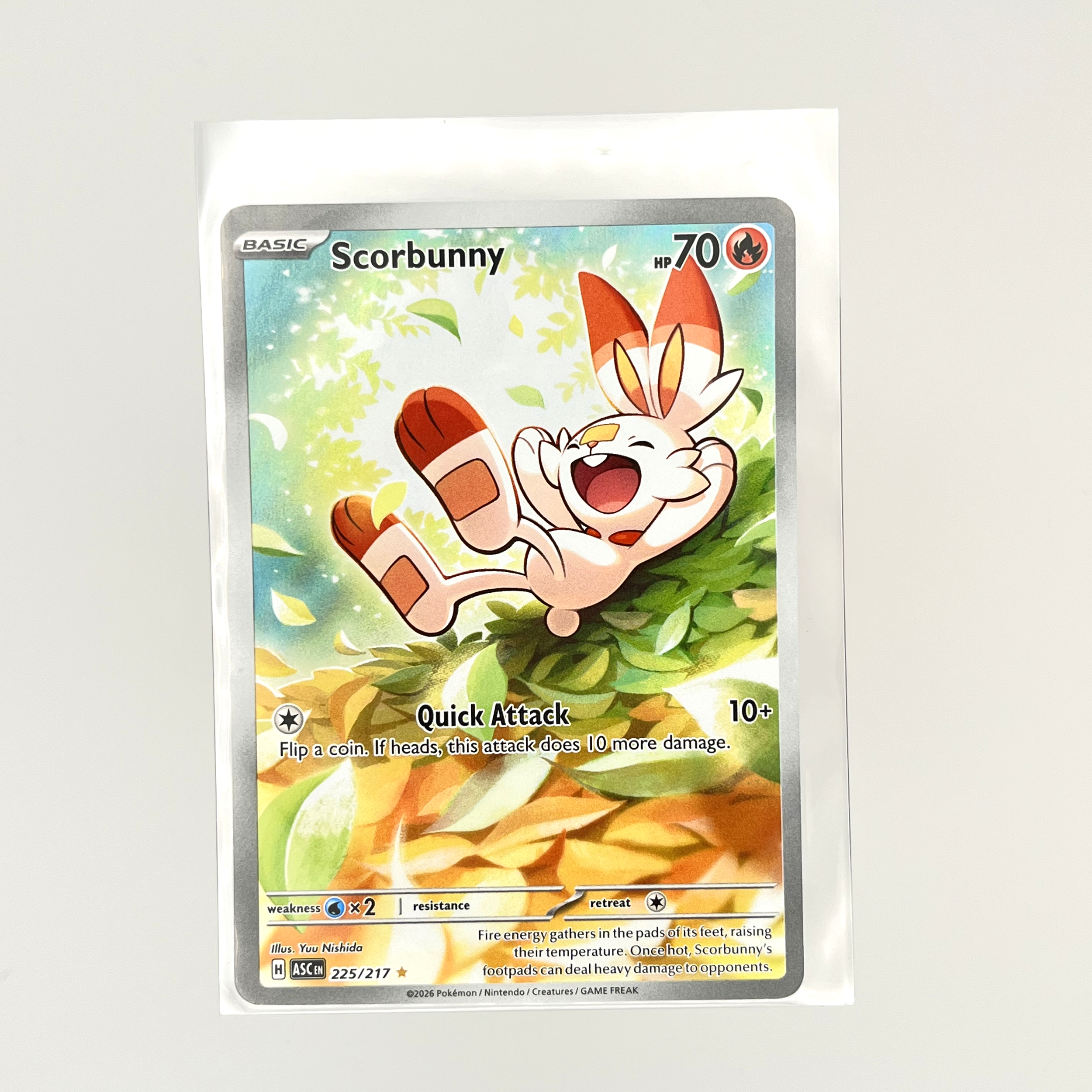 Scorbunny IR