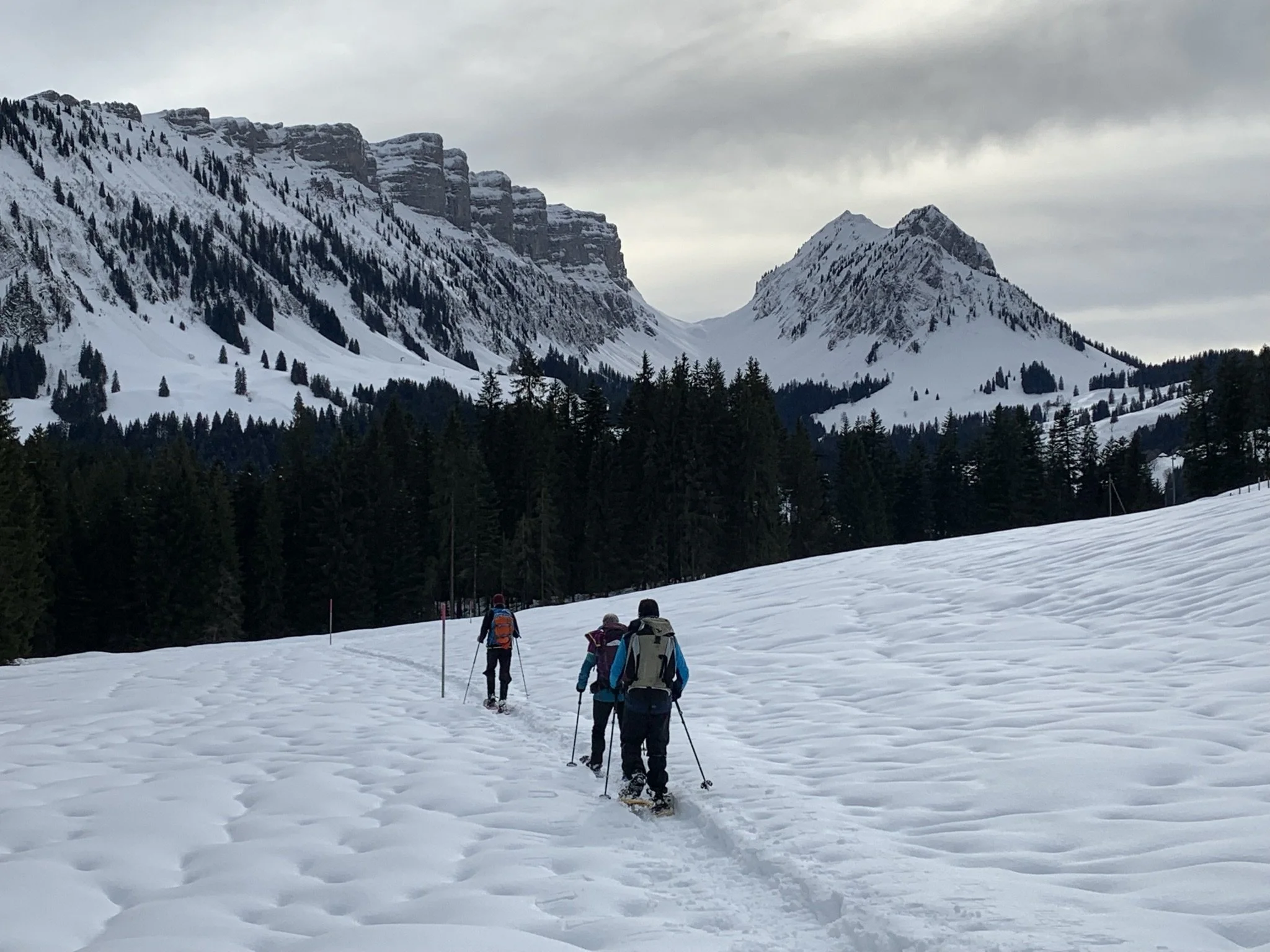 Dreitägige Schneeschuhtour rund um den Hohgant - Termin auf anfrage
