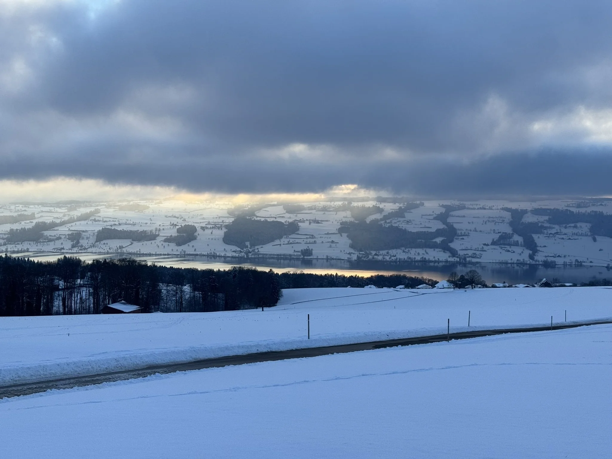 Winterzauber im Luzerner Seetal – Schneeschuhtour auf den Horben