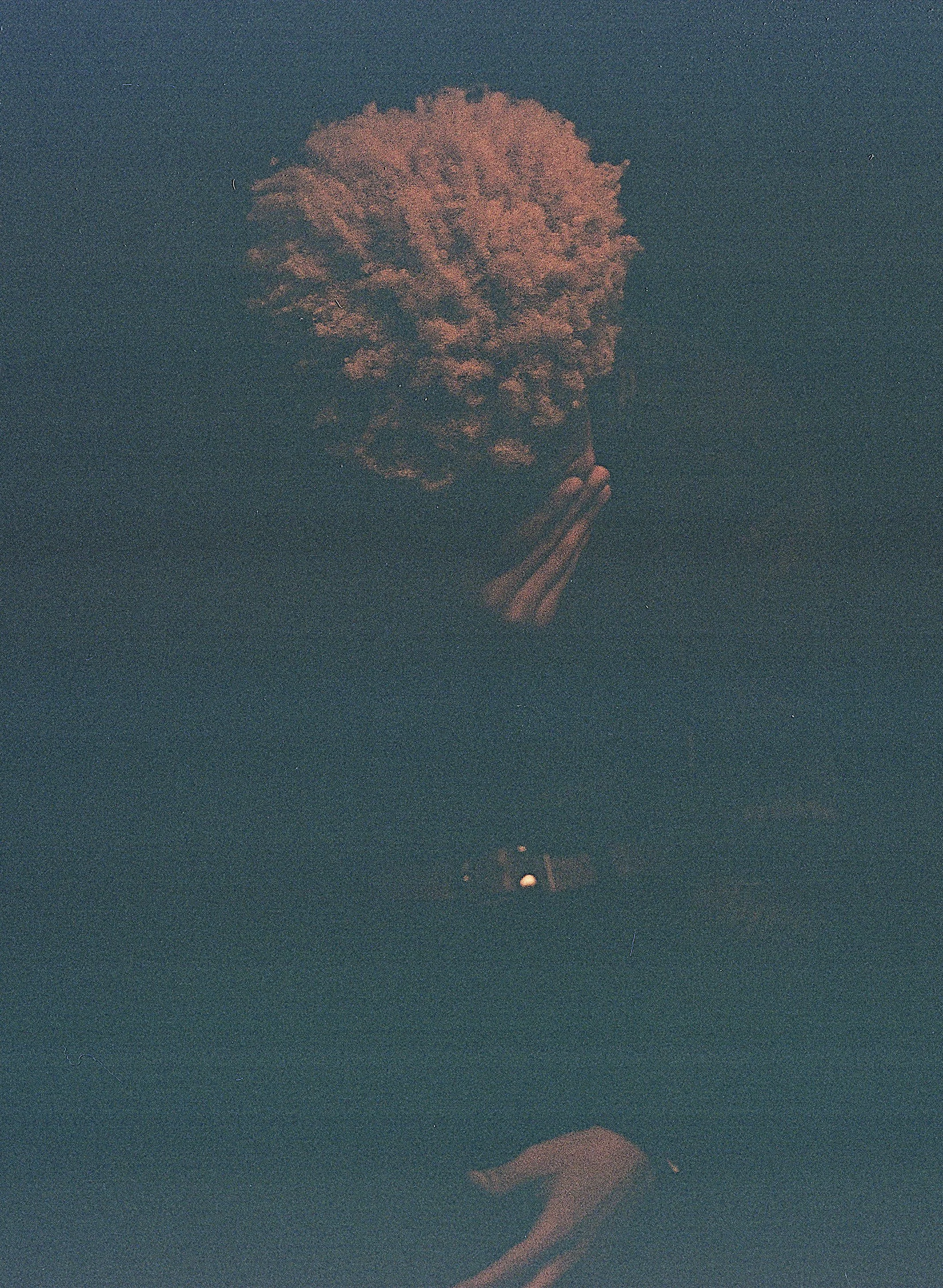 201030480015_### copie.jpg