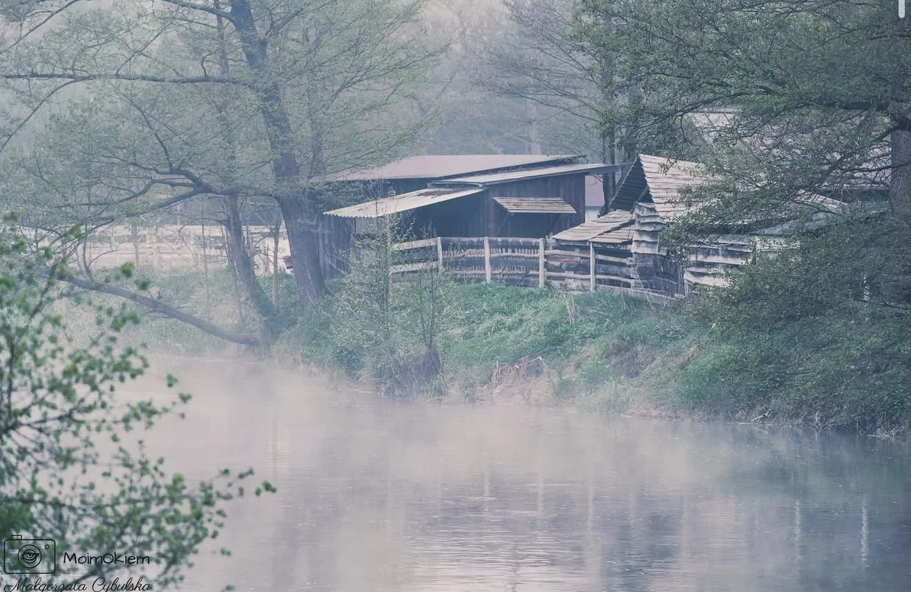 A foggy riverbank with a wooden house and trees.
