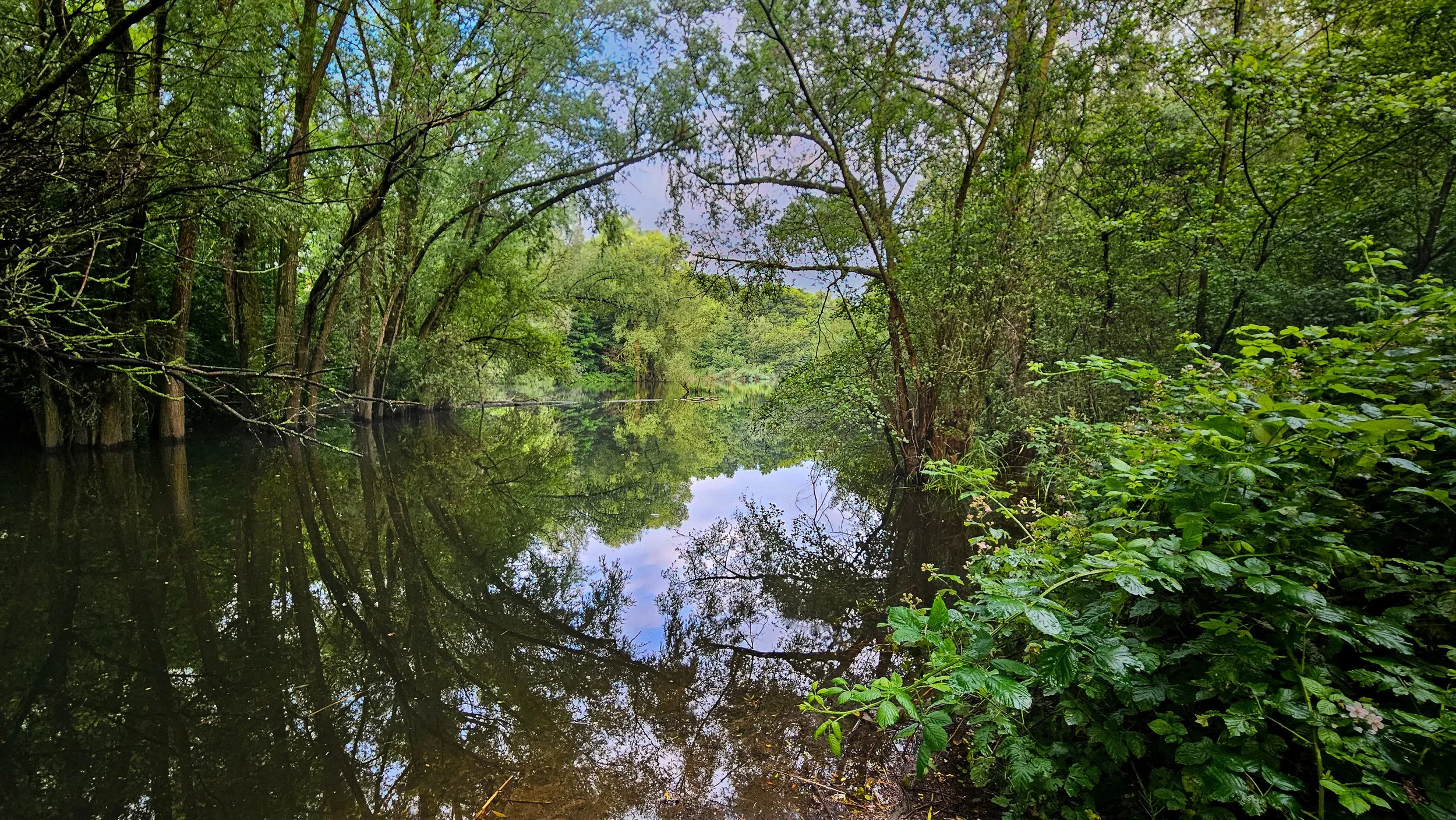 20240622_073739.jpg