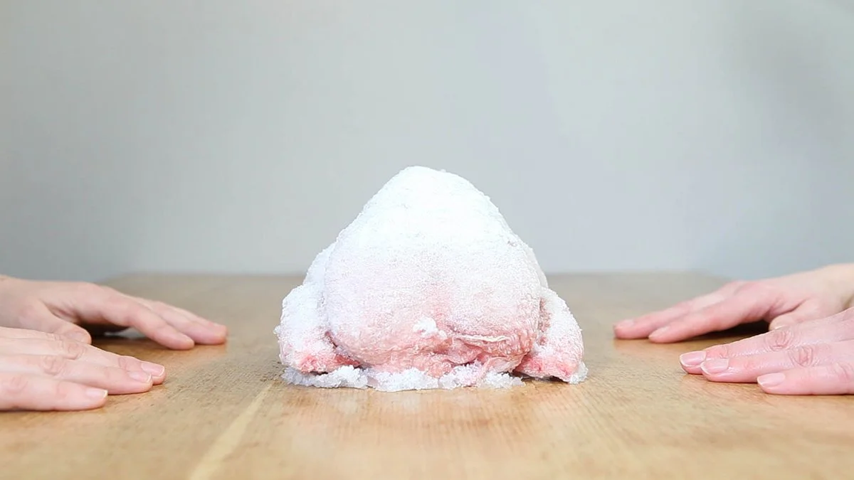 HouseArrest_chicken_web1.jpg