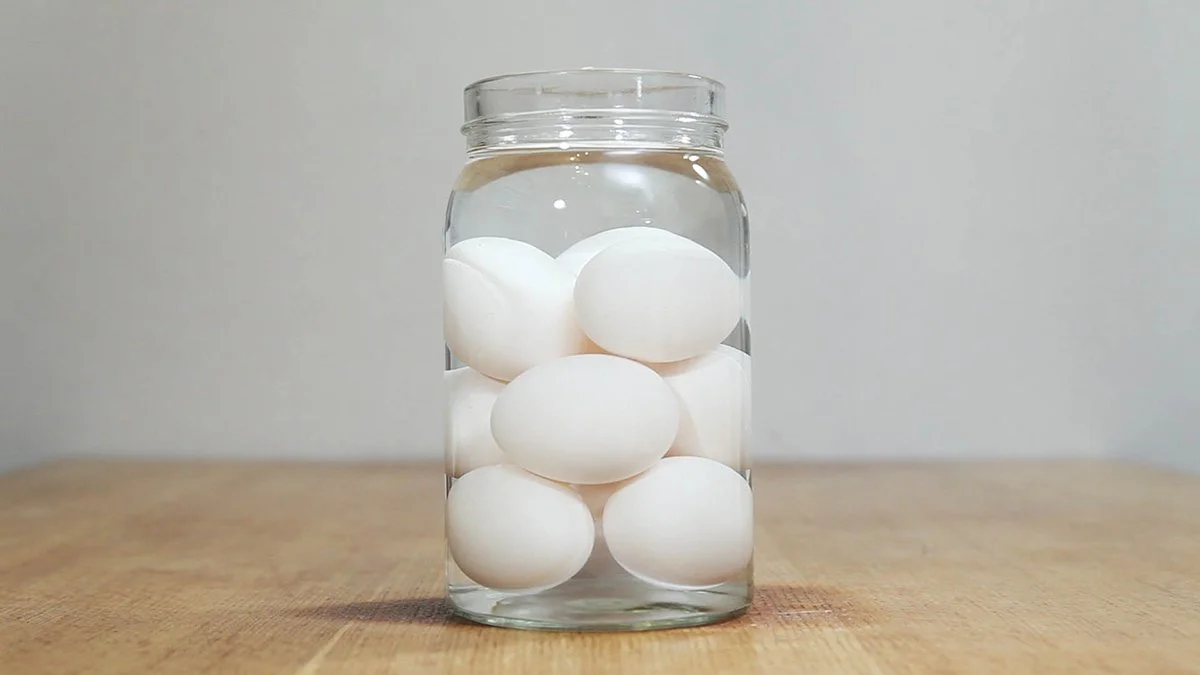 HouseArrest_jar_web1.jpg