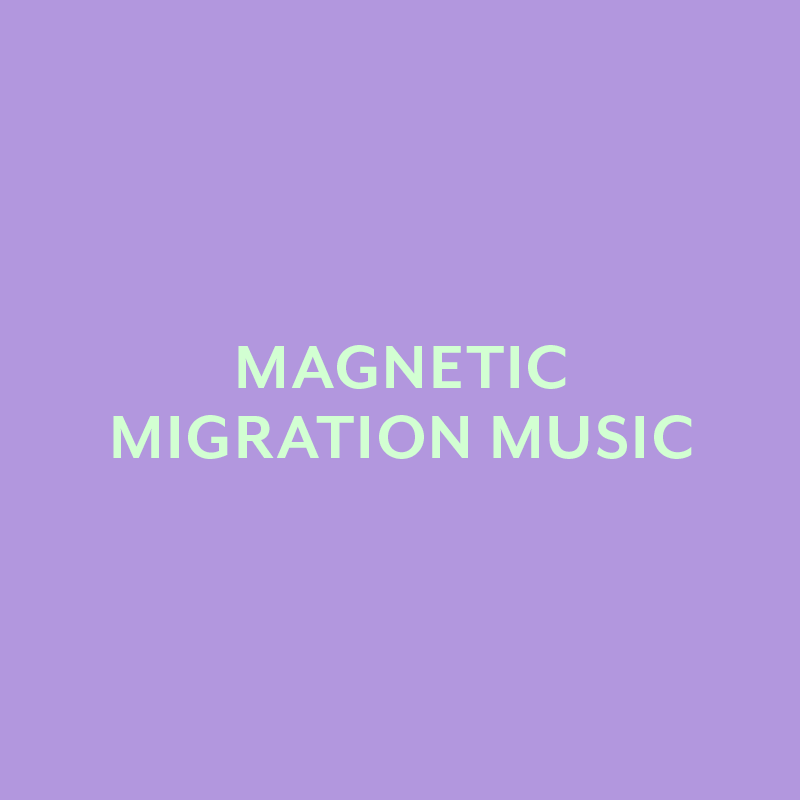 magnetic_sq_800px_new01.png