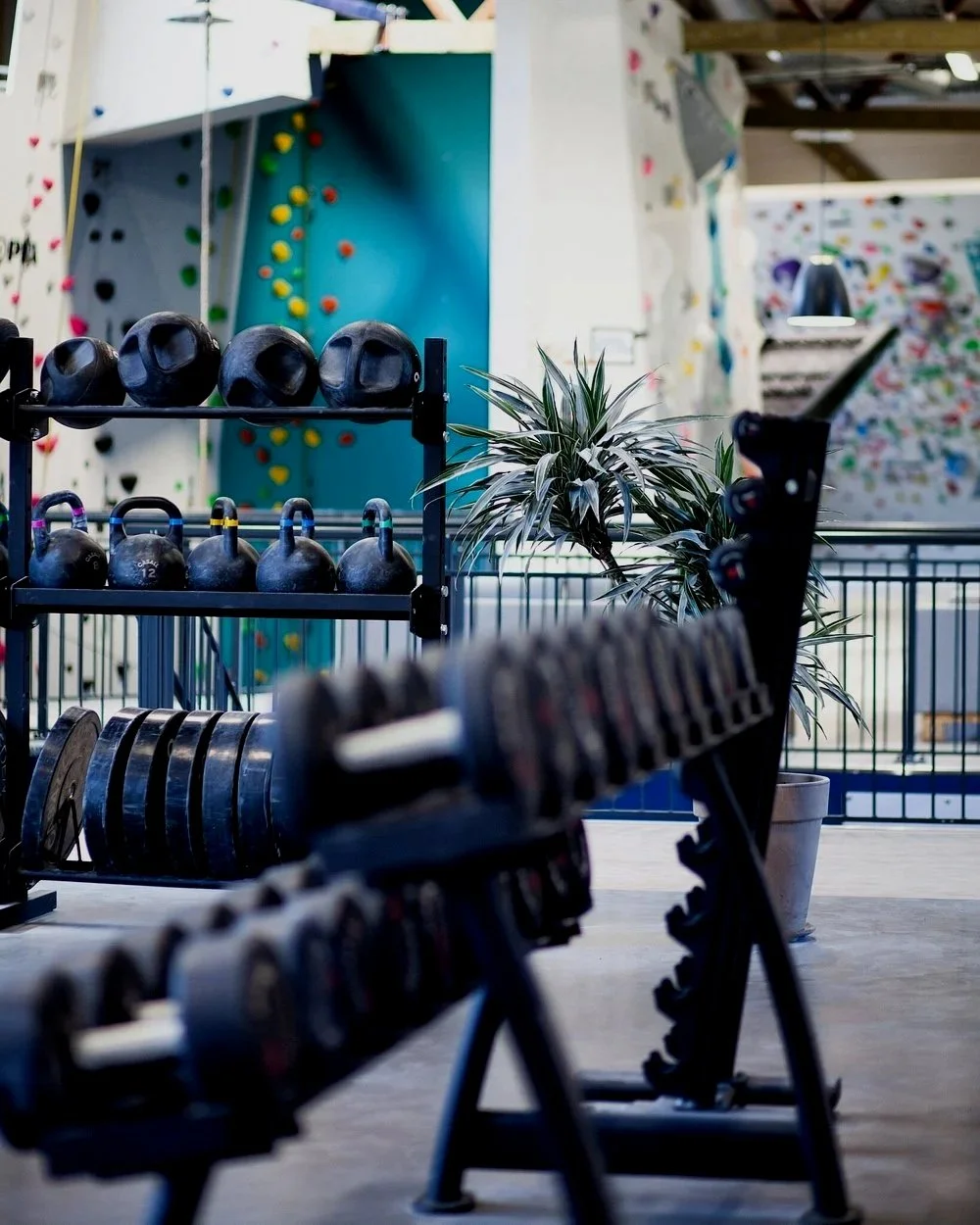 Klatreverket Kristiansand