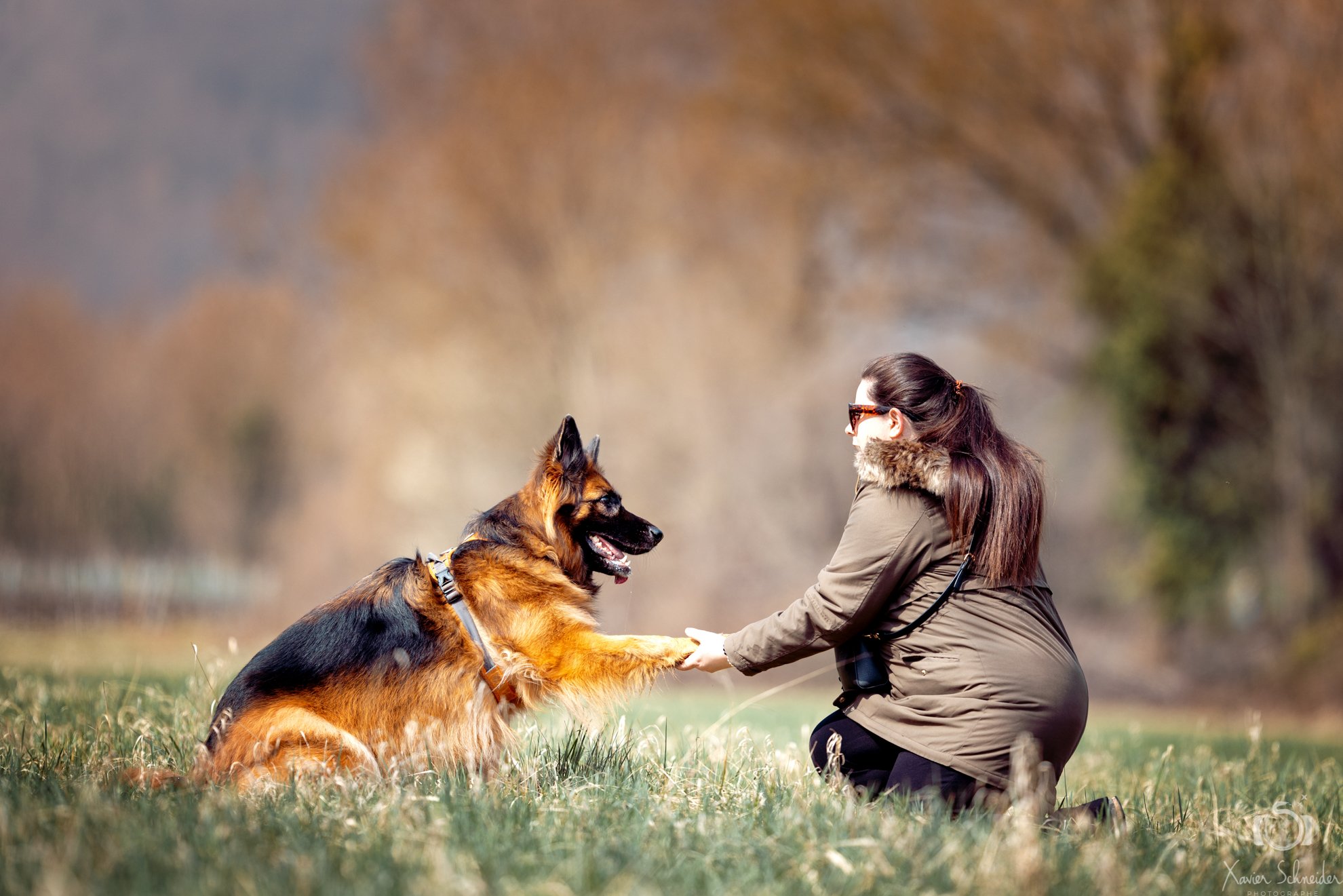 Rappel et marche en laisse chien en méthode positive