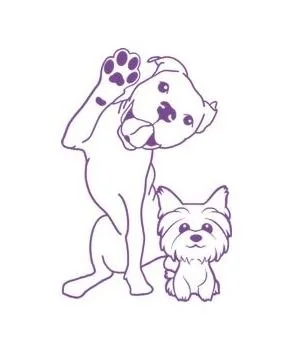 accompagnement personnalisé chien