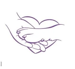 éducation canine méthode positive